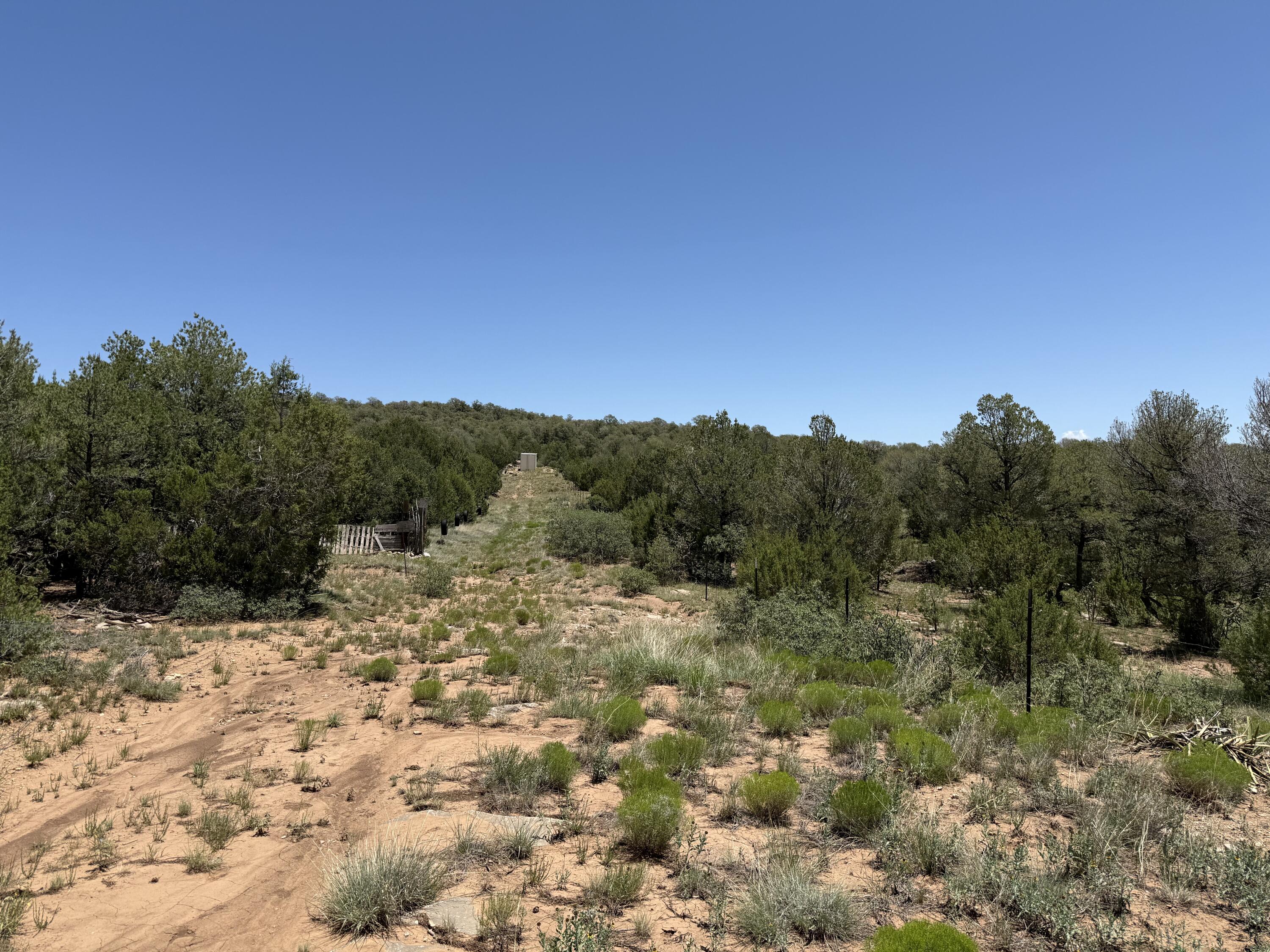 Photo 6 — 44 Forest Rd 321