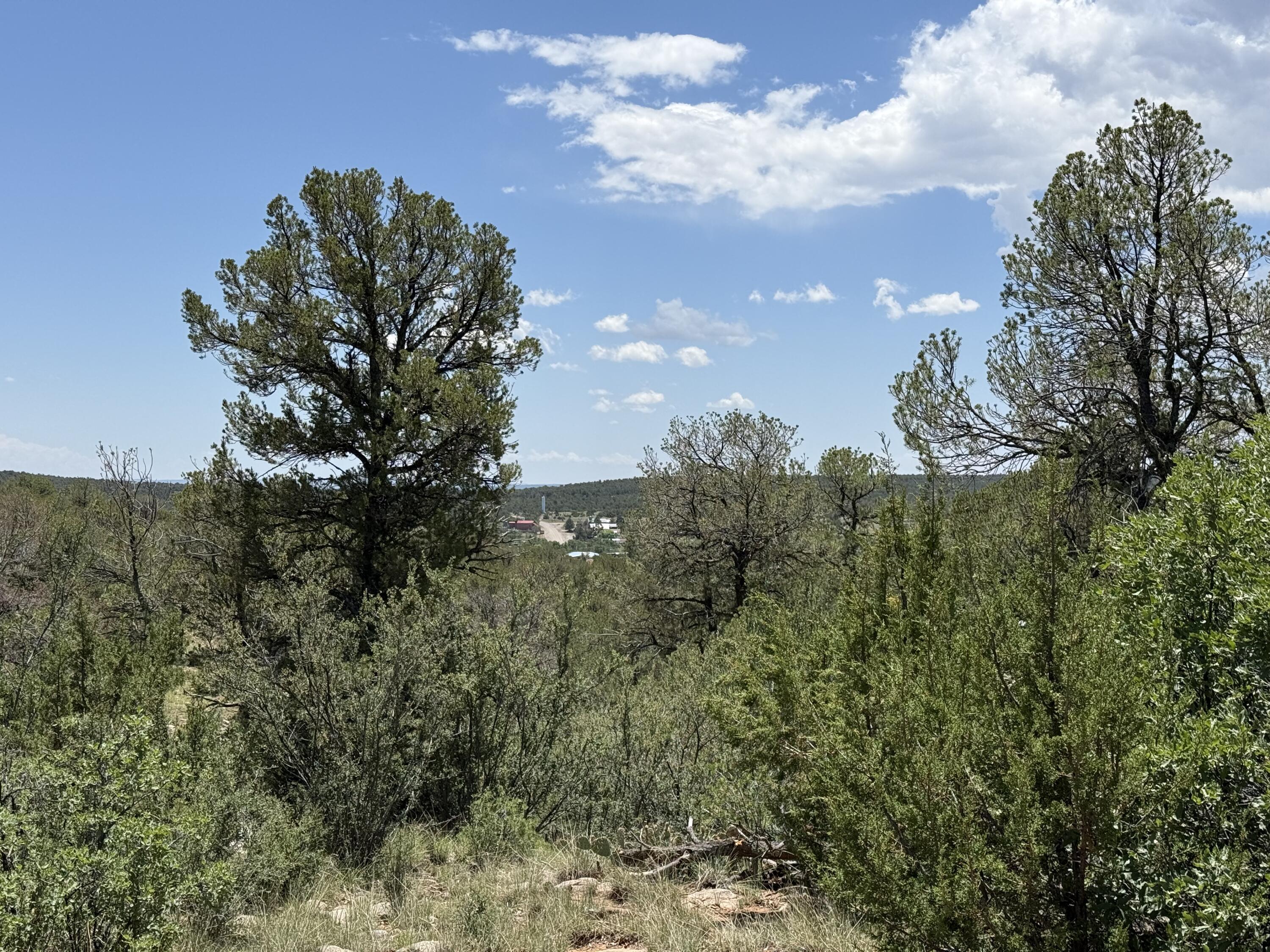 Photo 7 — 44 Forest Rd 321