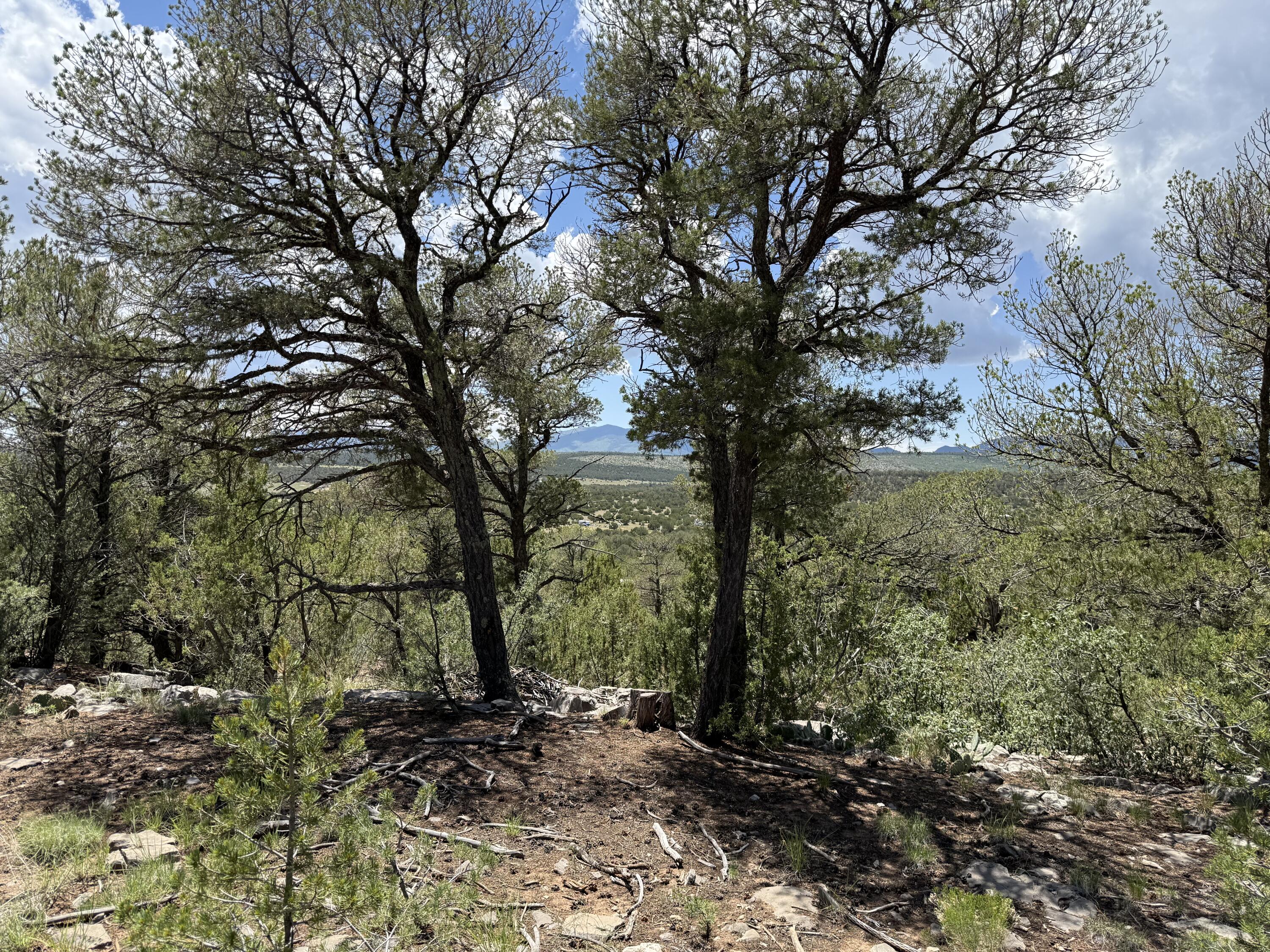 Photo 9 — 44 Forest Rd 321