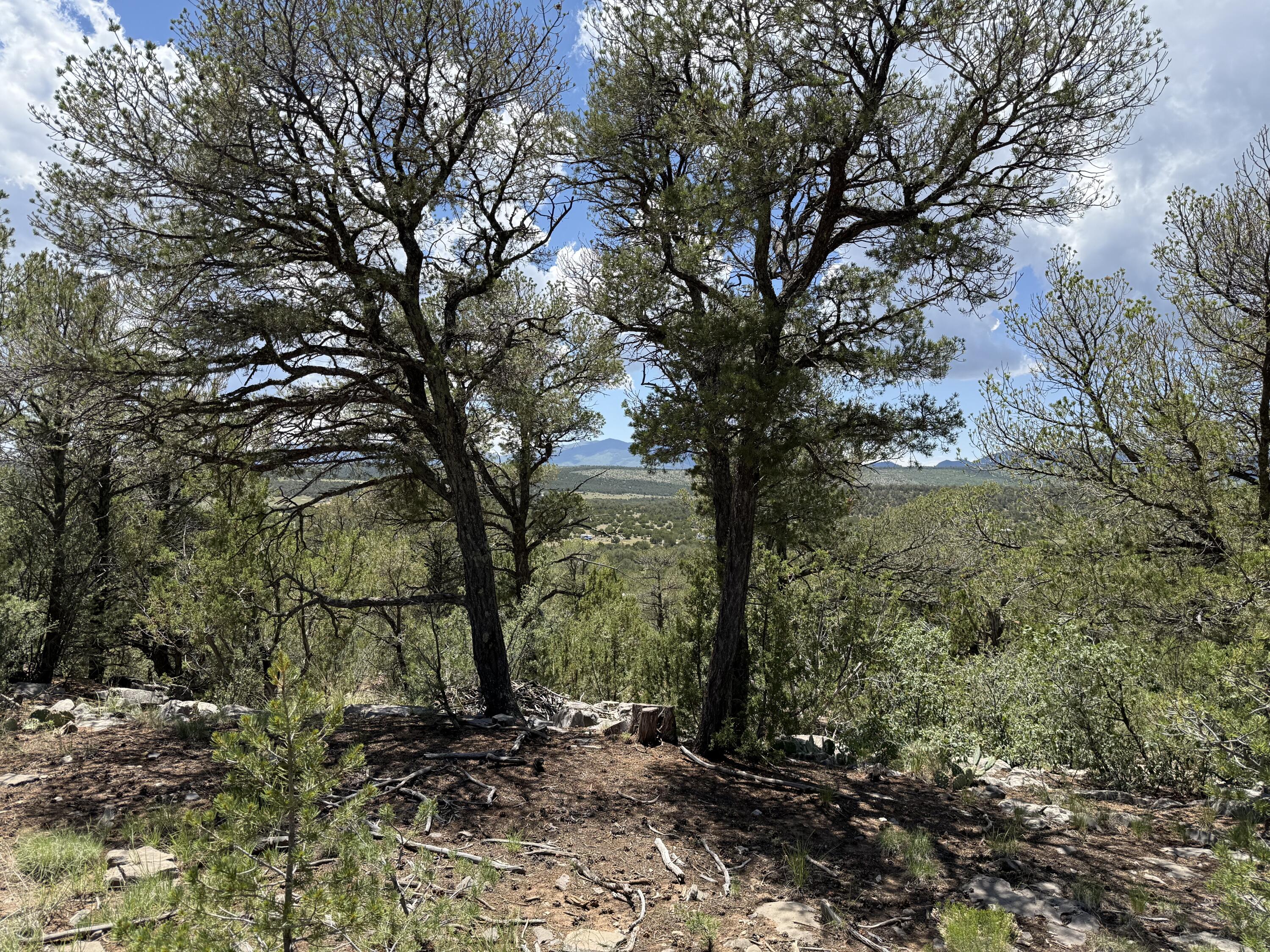 Photo 10 — 44 Forest Rd 321