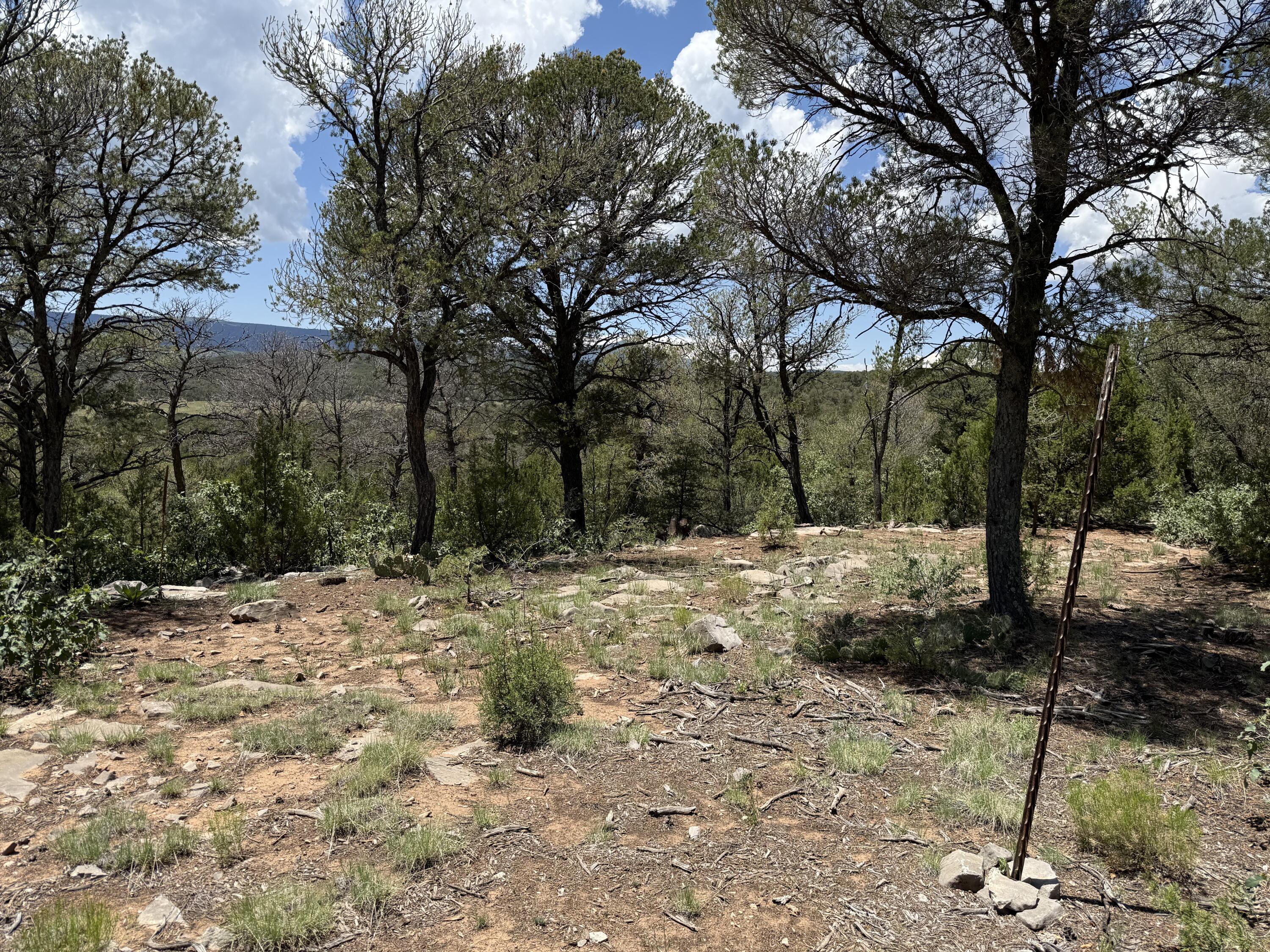 Photo 14 — 44 Forest Rd 321