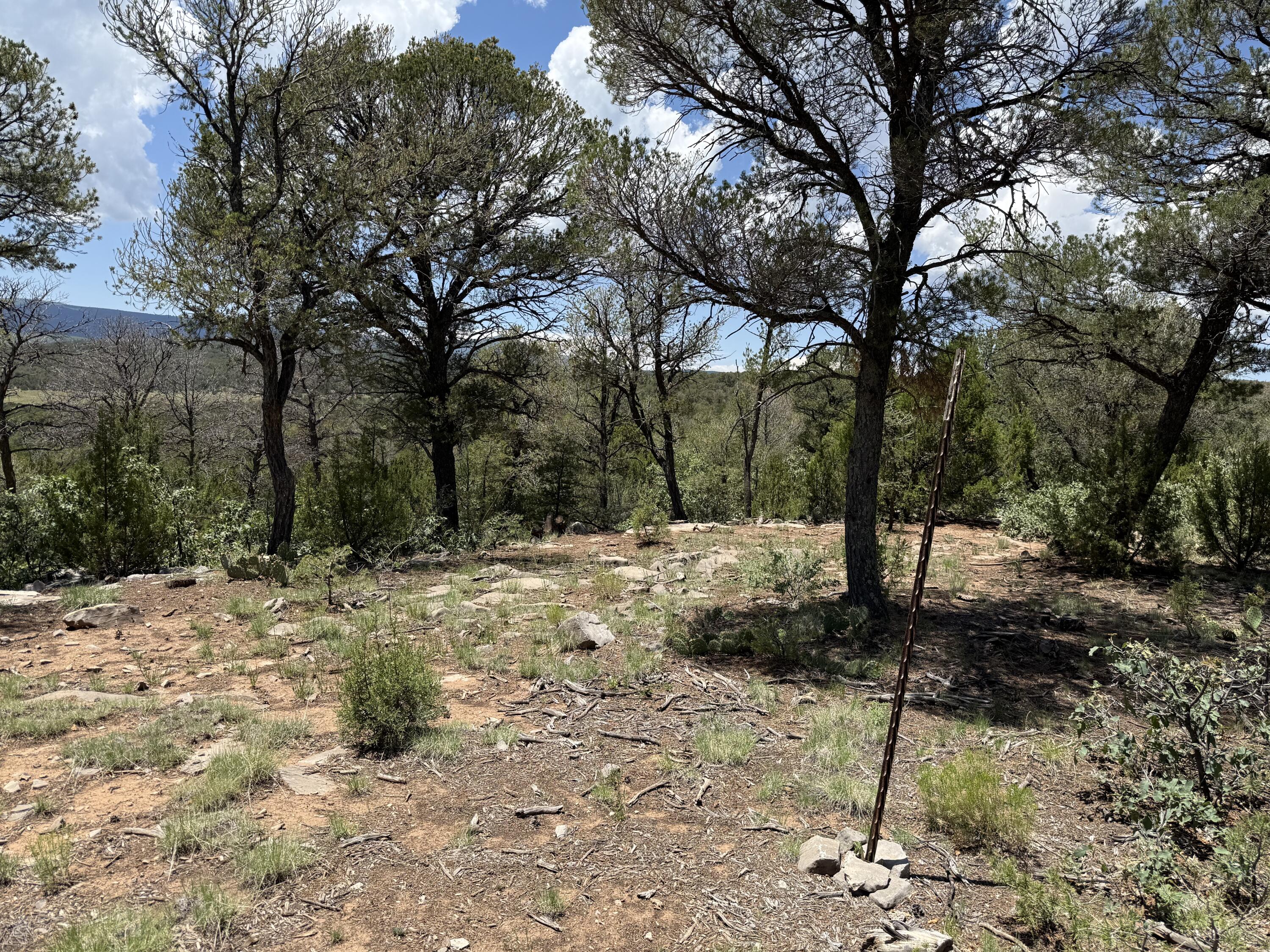 Photo 15 — 44 Forest Rd 321
