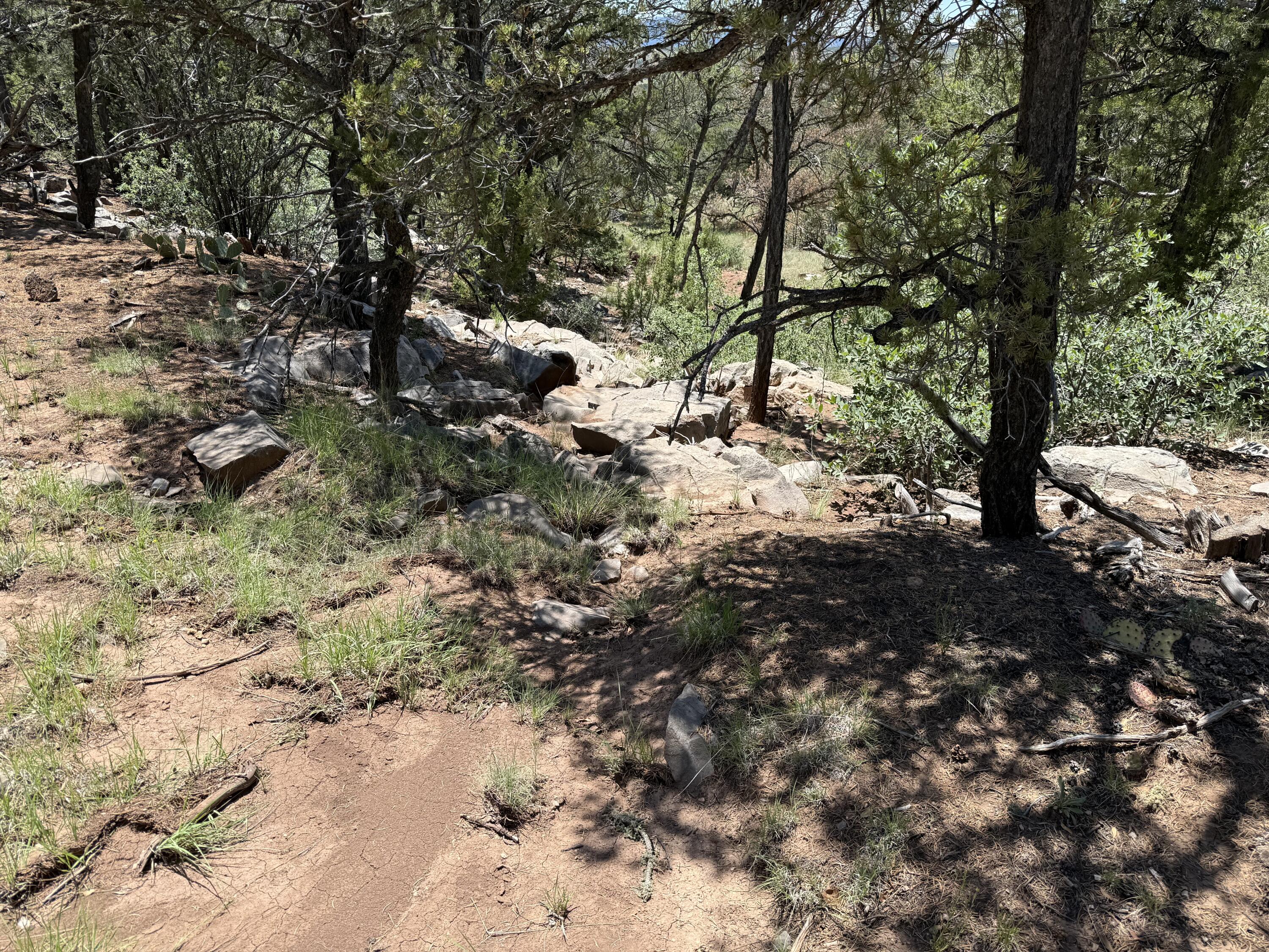 Photo 16 — 44 Forest Rd 321