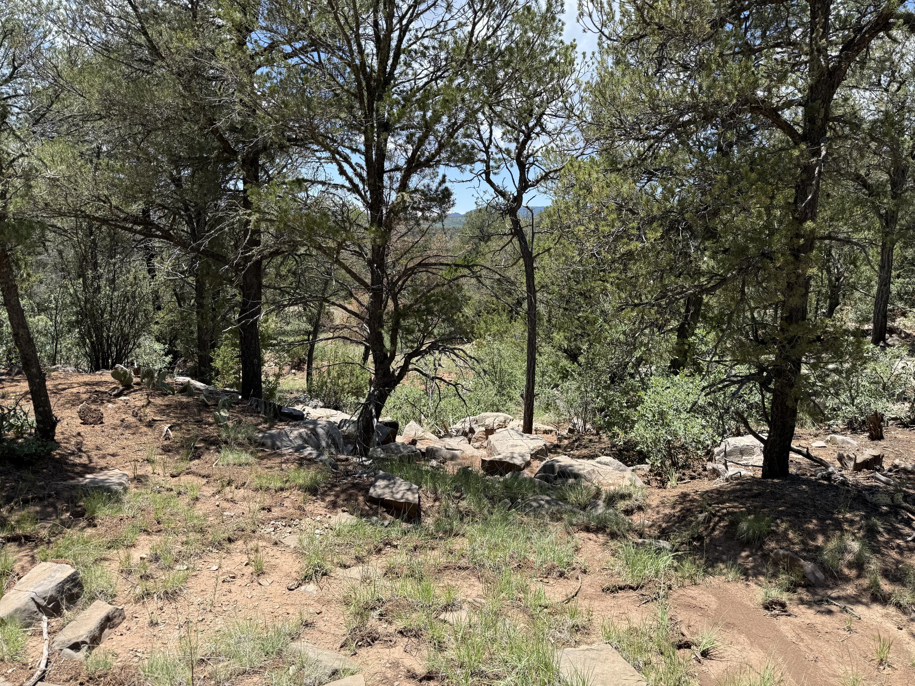 Photo 17 — 44 Forest Rd 321