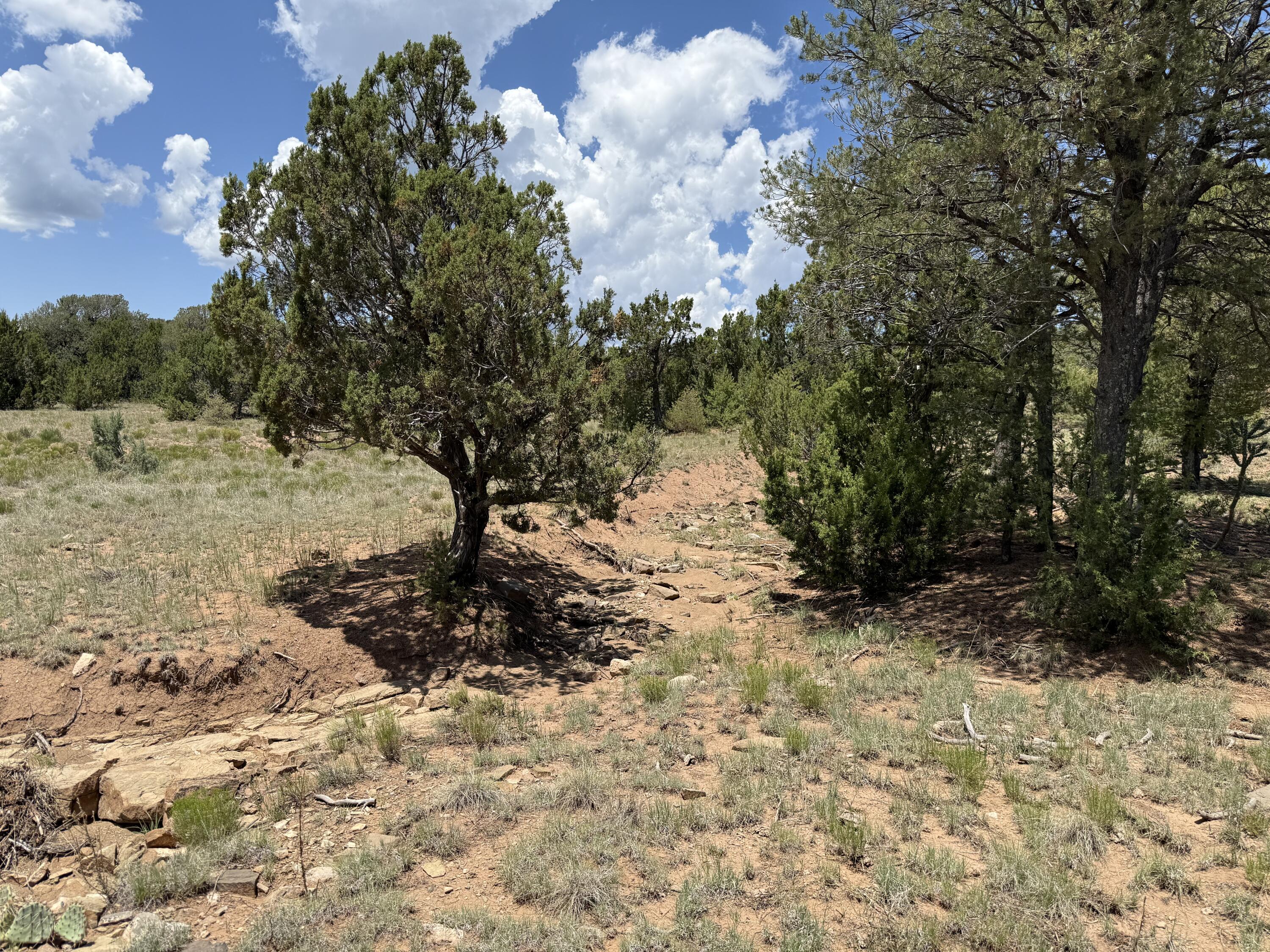 Photo 18 — 44 Forest Rd 321