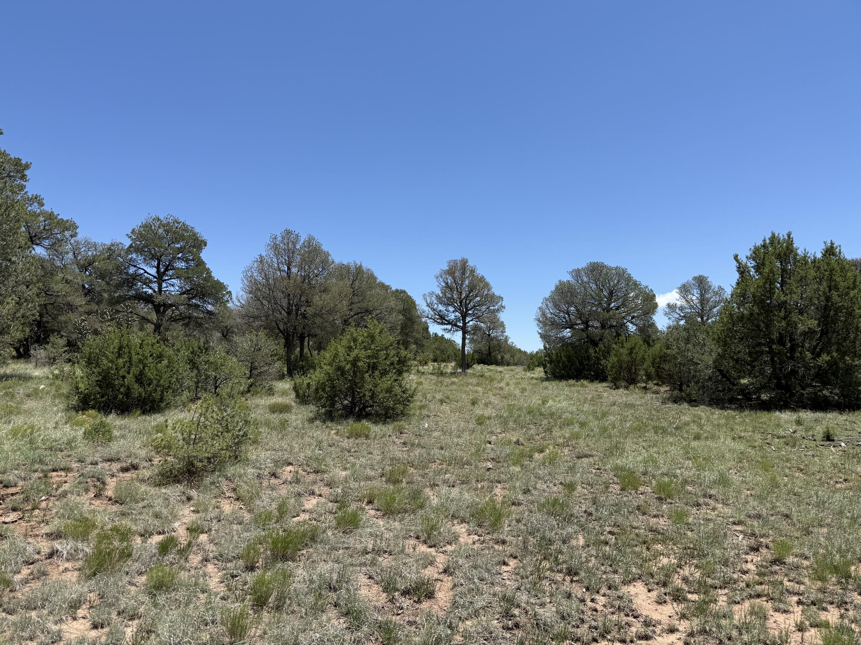Photo 20 — 44 Forest Rd 321