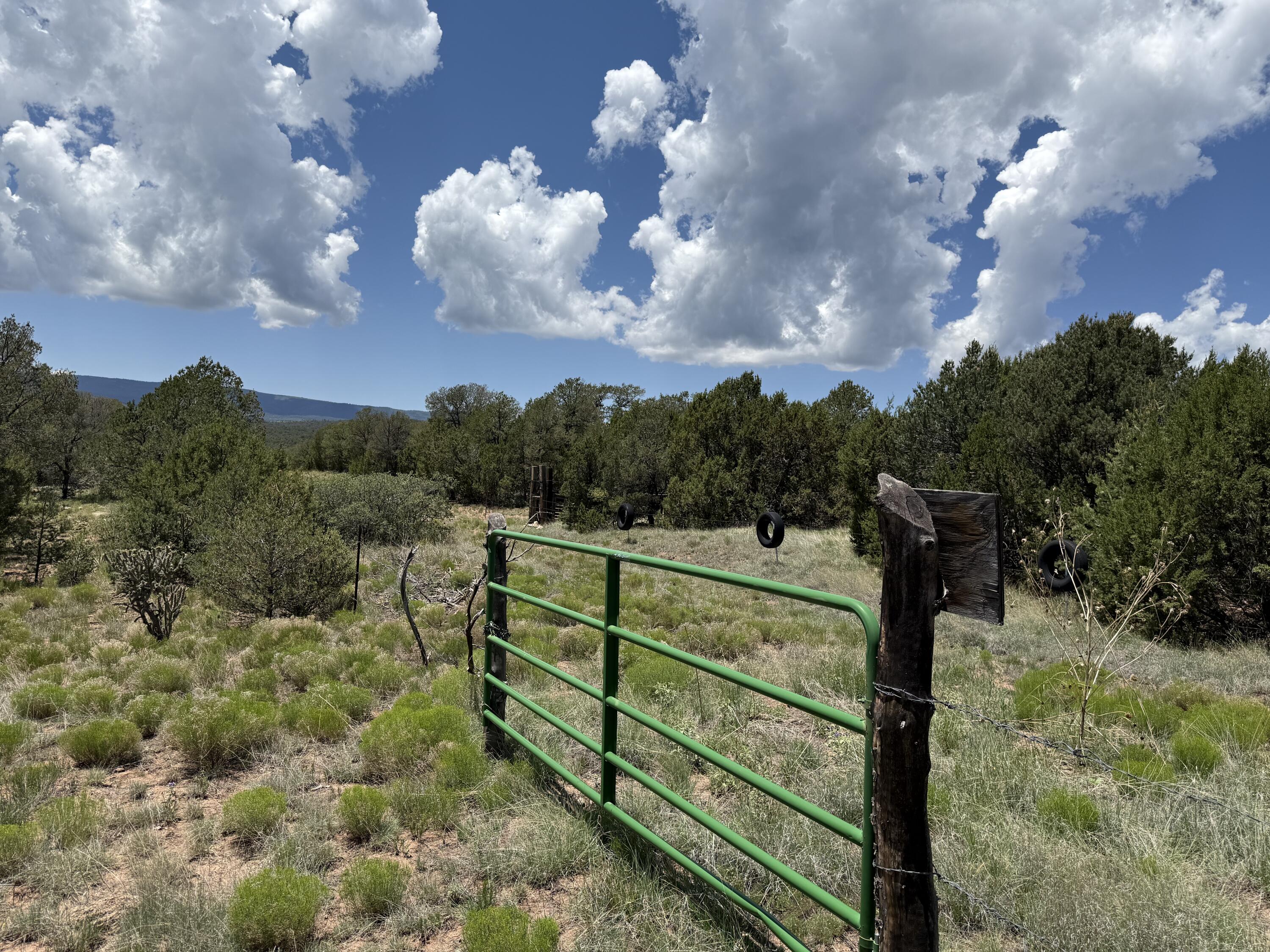Photo 5 — 44 Forest Rd 321