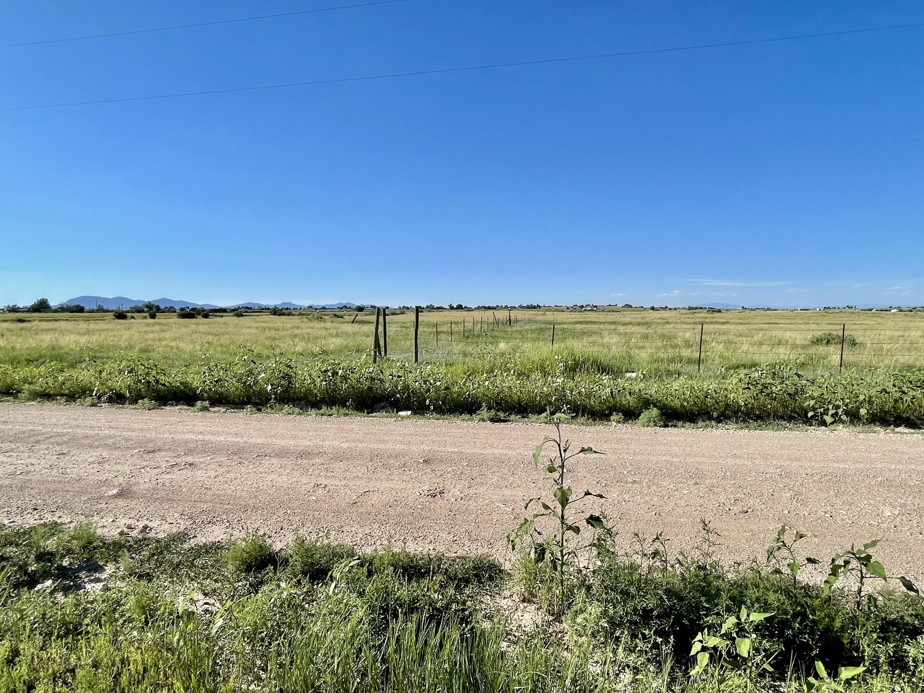 Photo 2 — 61 SORREL Avenue