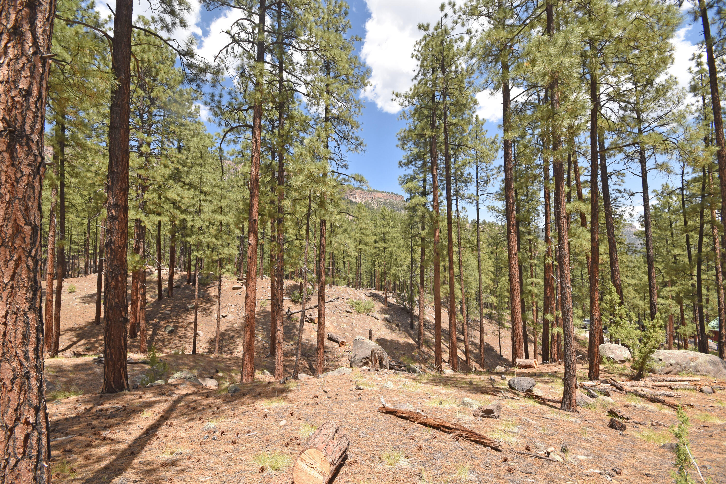 Lot 6A Cool Pines, Jemez Springs, NM 87025