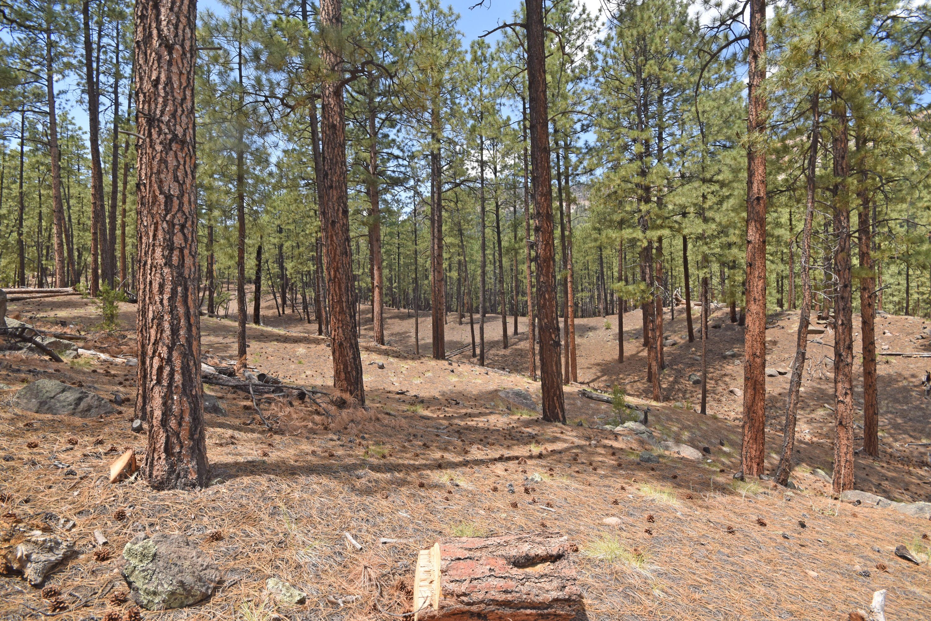 Photo 2 — Lot 6A Cool Pines