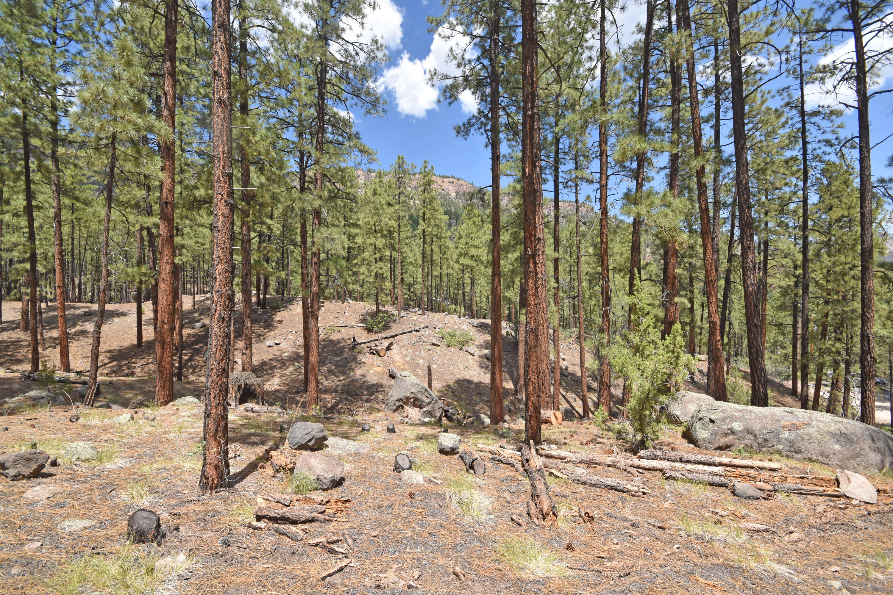 Photo 3 — Lot 6A Cool Pines