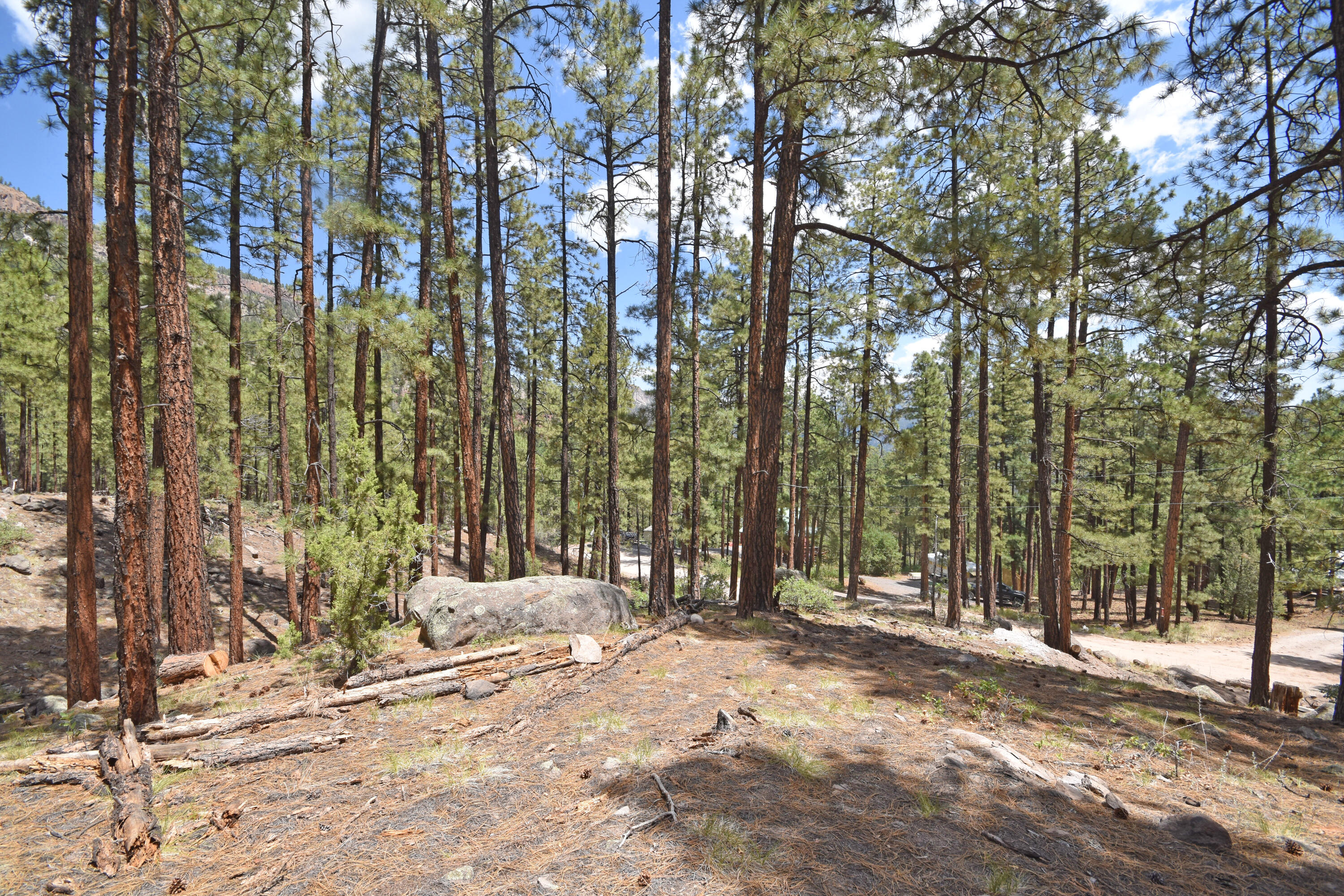 Photo 4 — Lot 6A Cool Pines