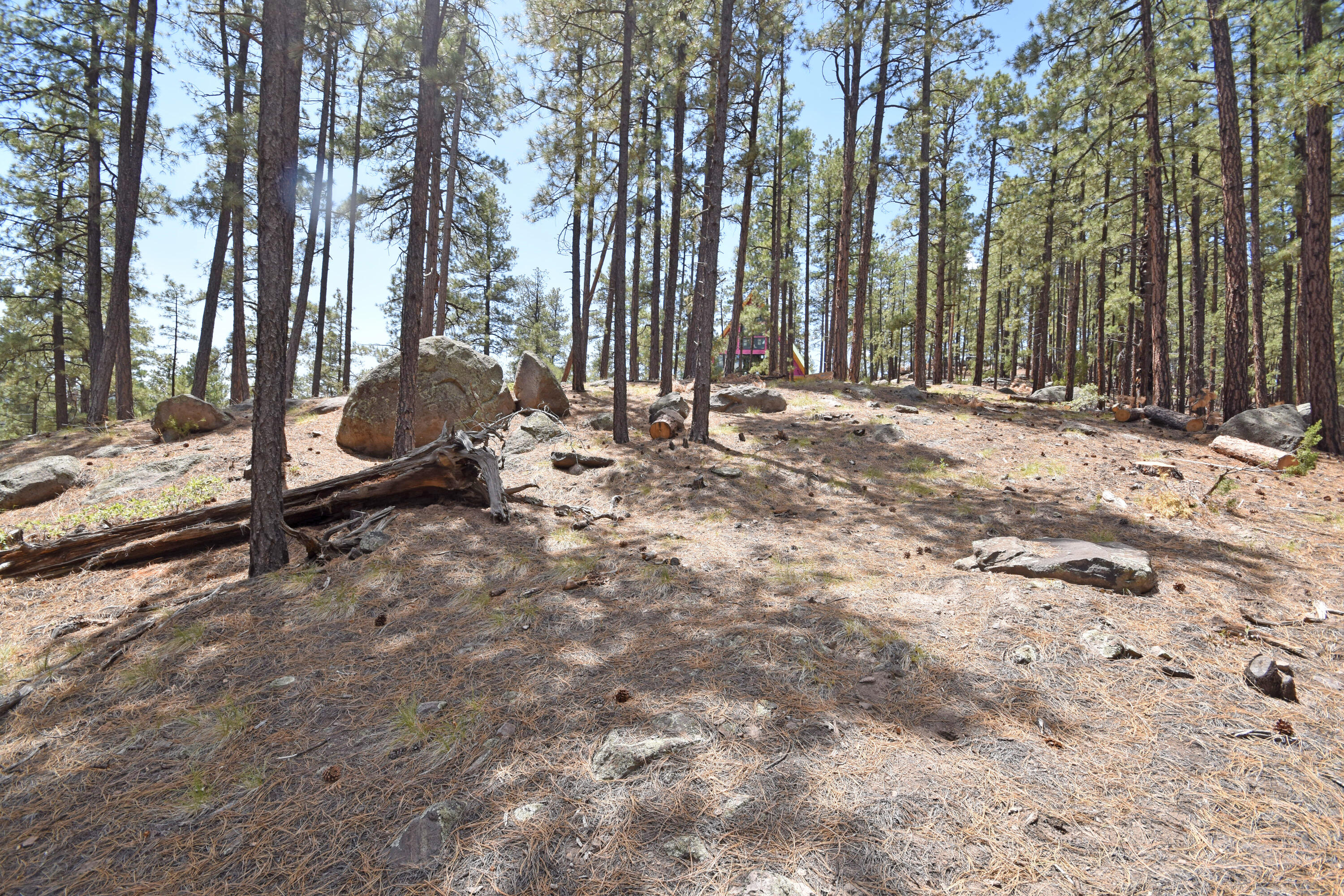 Photo 5 — Lot 6A Cool Pines