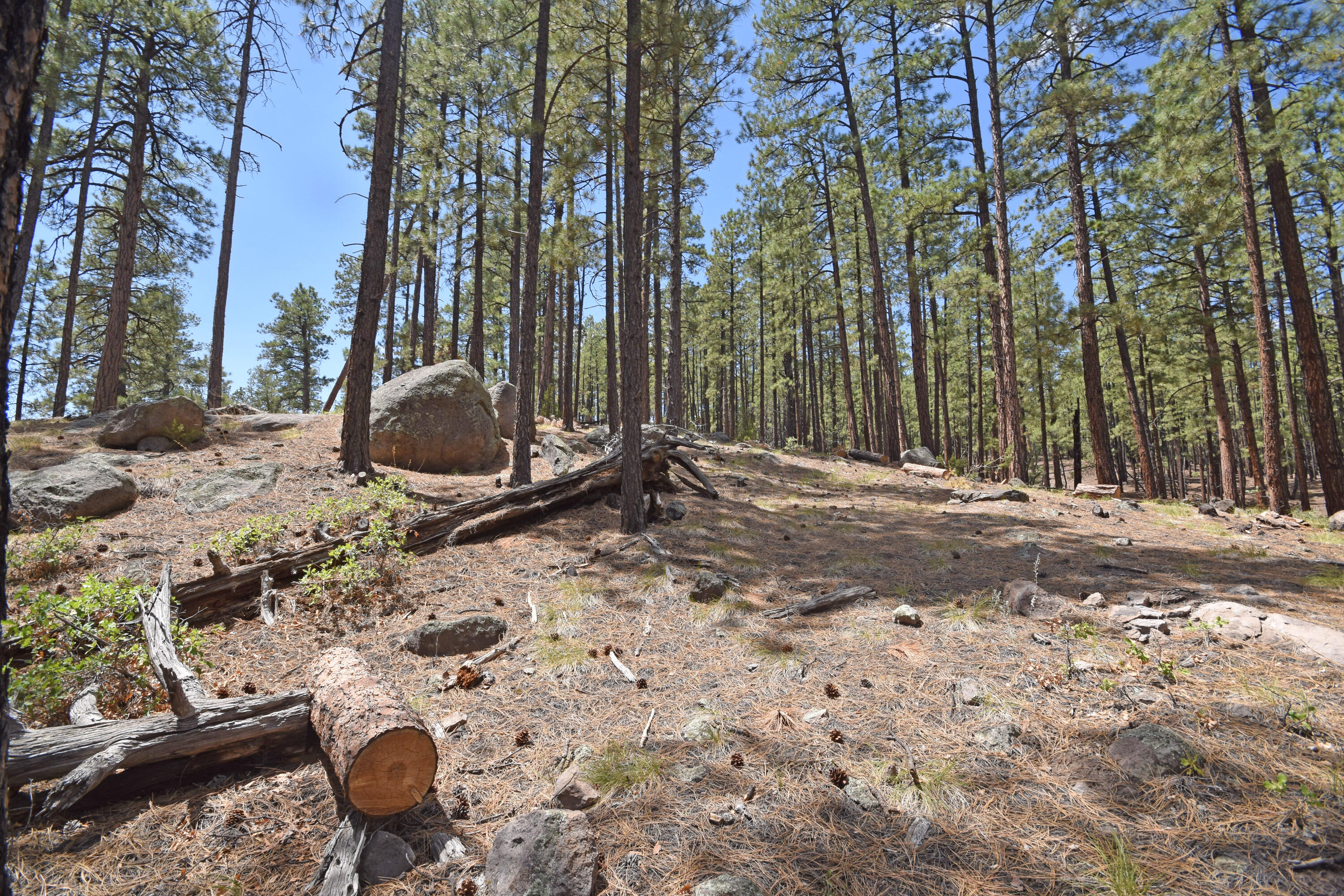 Photo 6 — Lot 6A Cool Pines