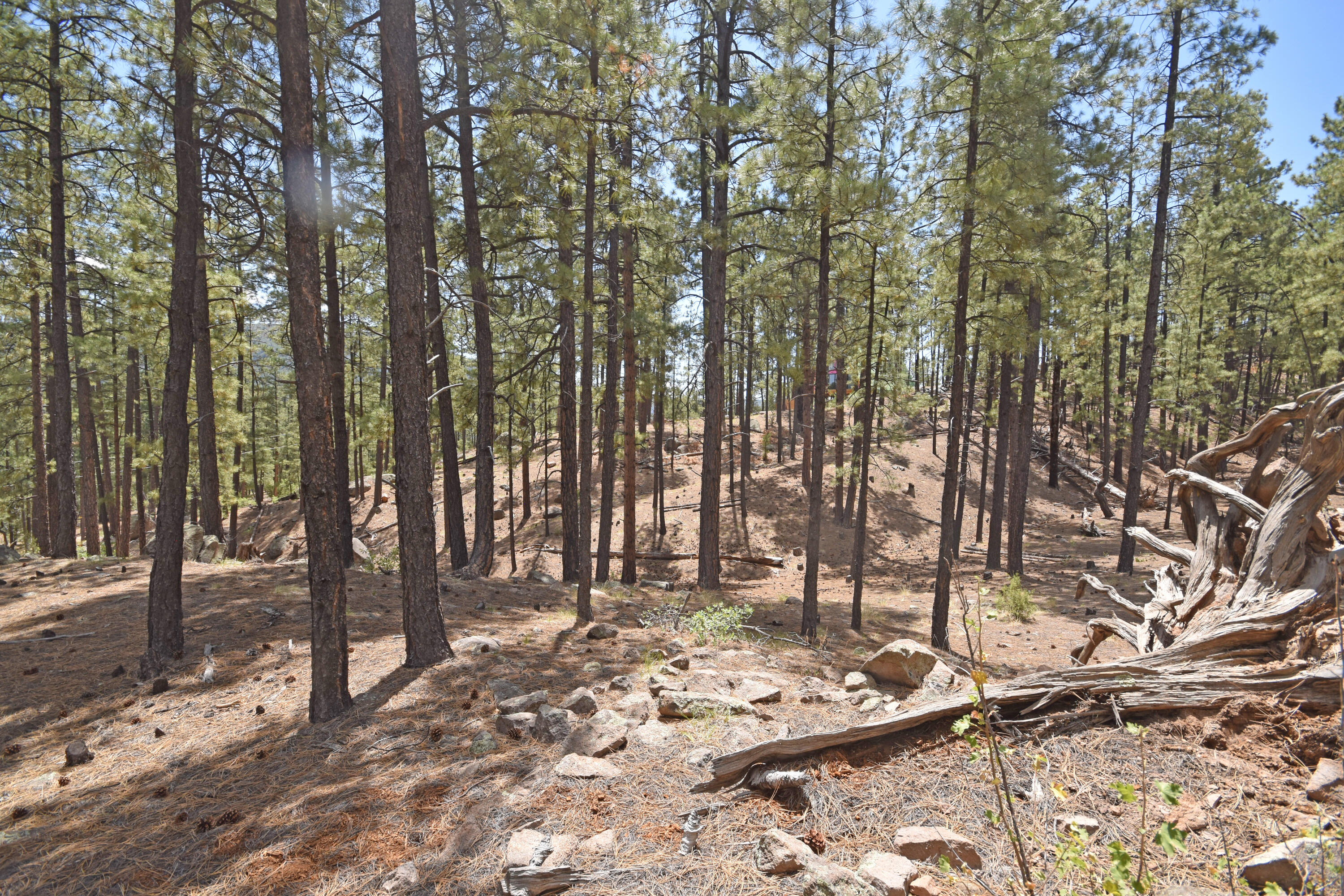 Photo 7 — Lot 6A Cool Pines
