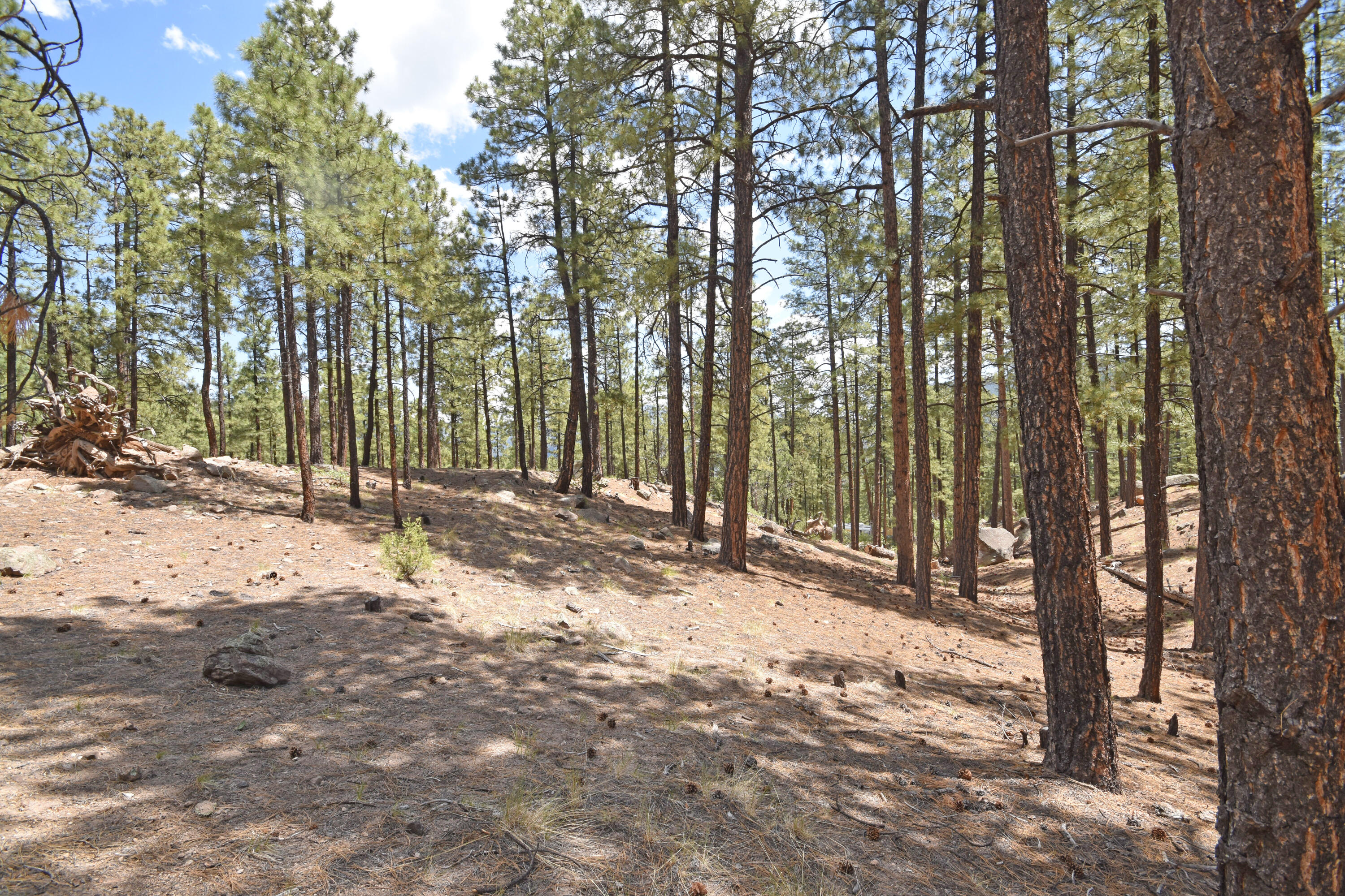 Photo 9 — Lot 6A Cool Pines