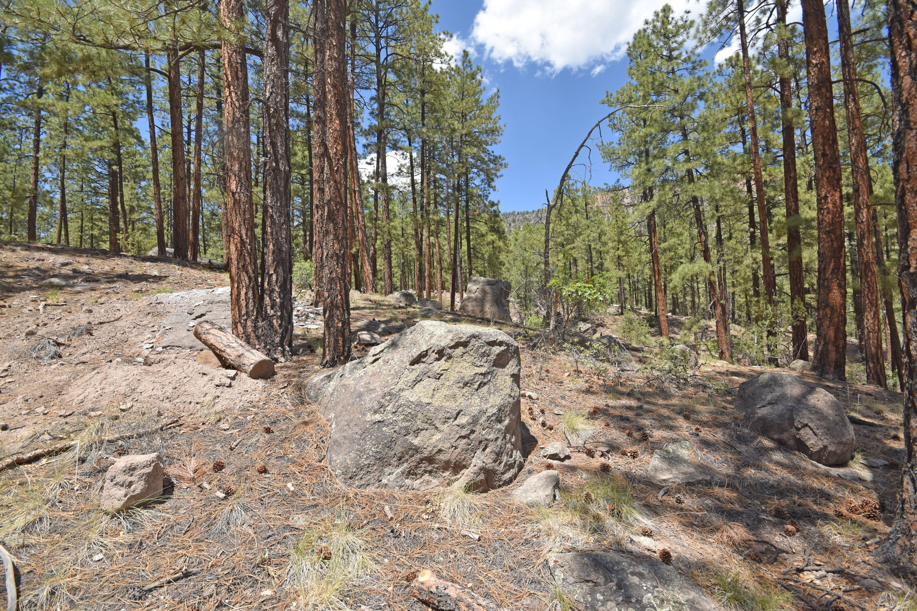 Photo 13 — Lot 6A Cool Pines