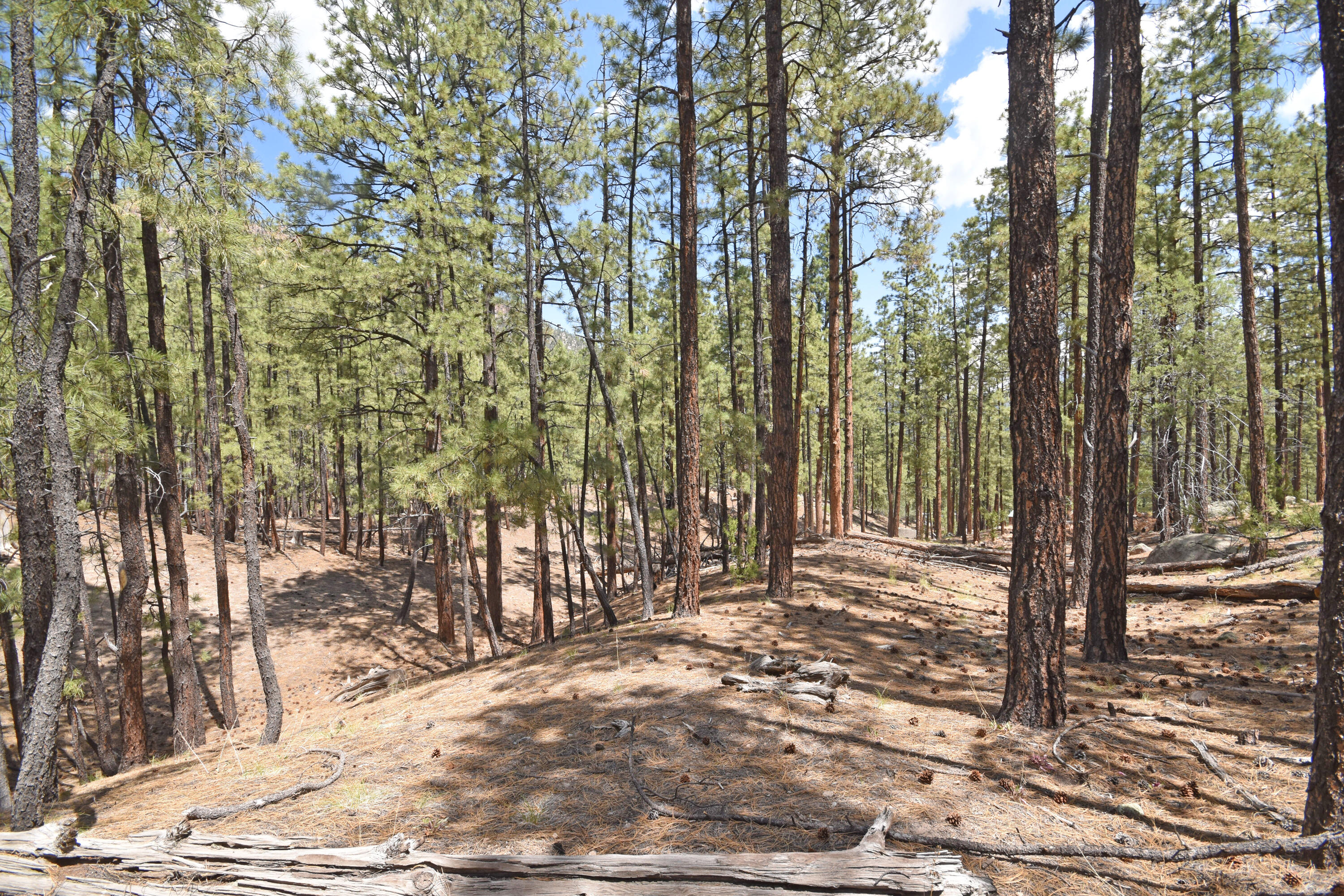 Photo 11 — Lot 6A Cool Pines