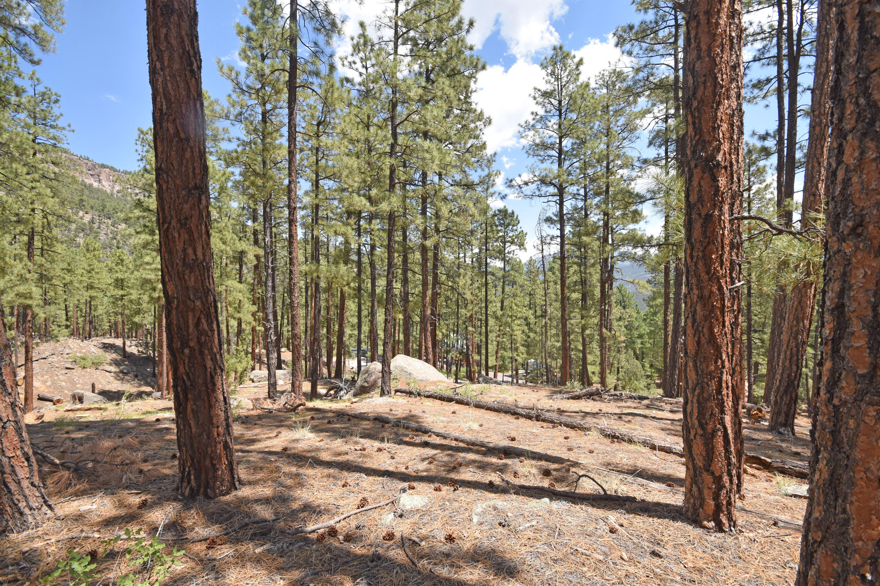Photo 12 — Lot 6A Cool Pines
