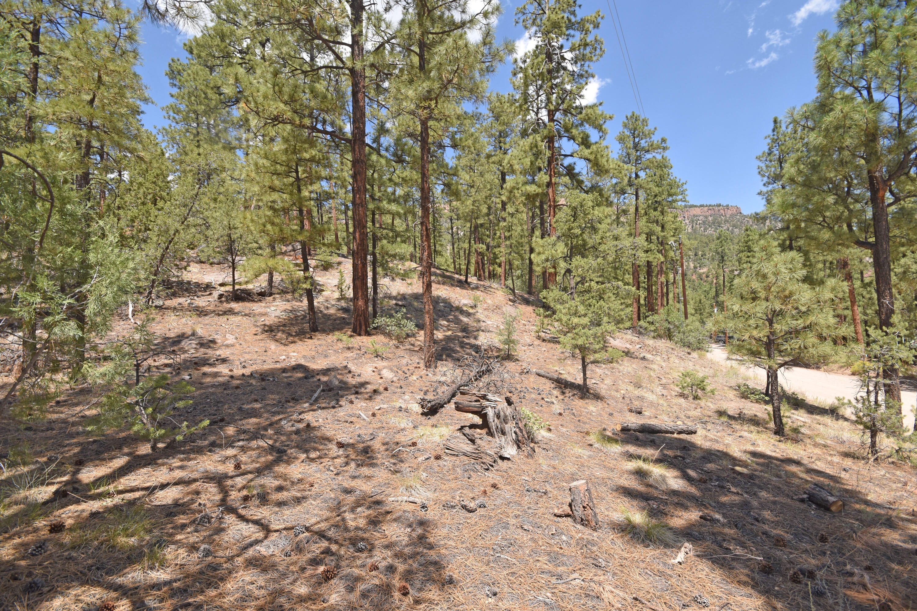 Photo 14 — Lot 6A Cool Pines