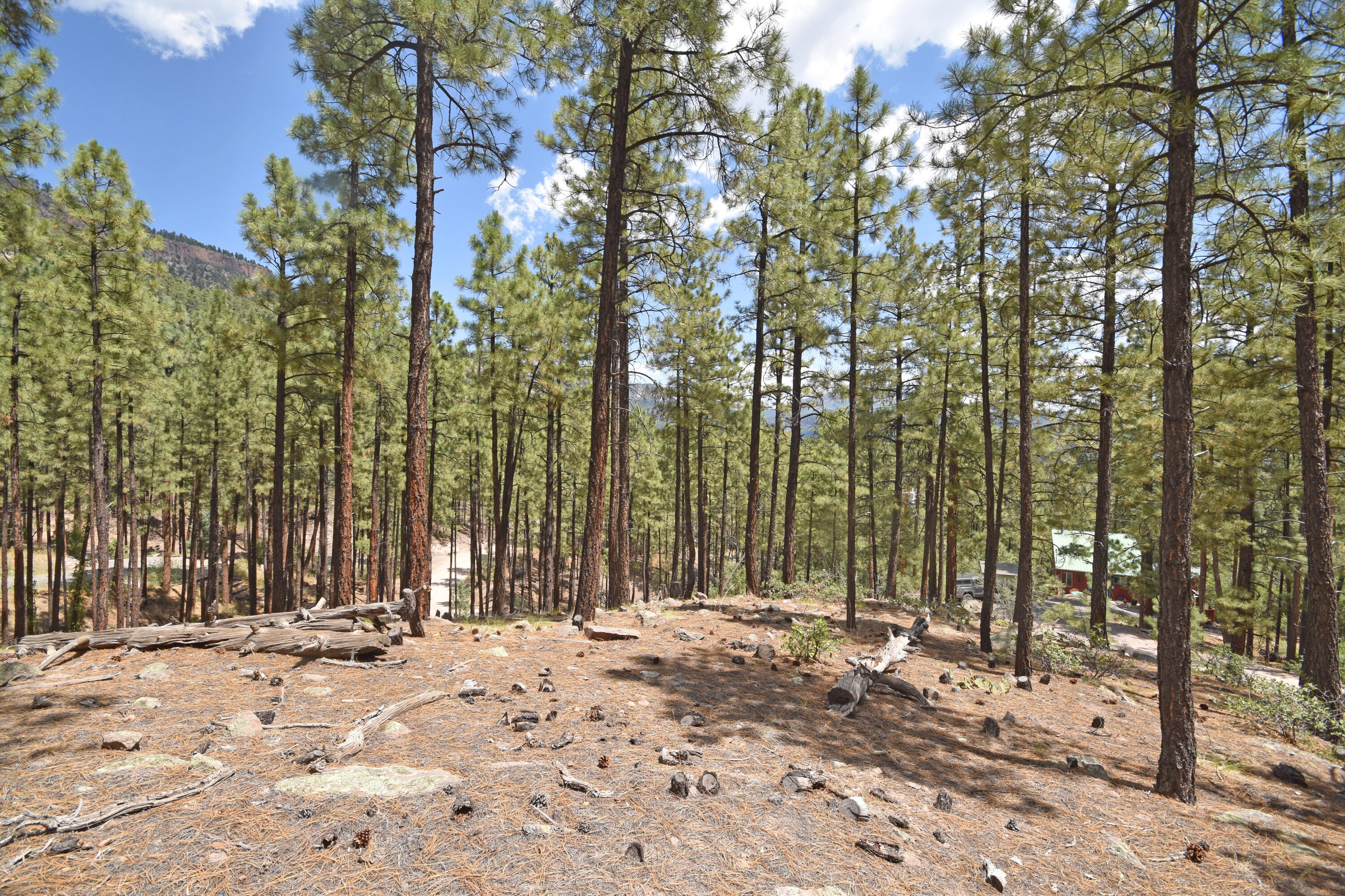 Photo 15 — Lot 6A Cool Pines