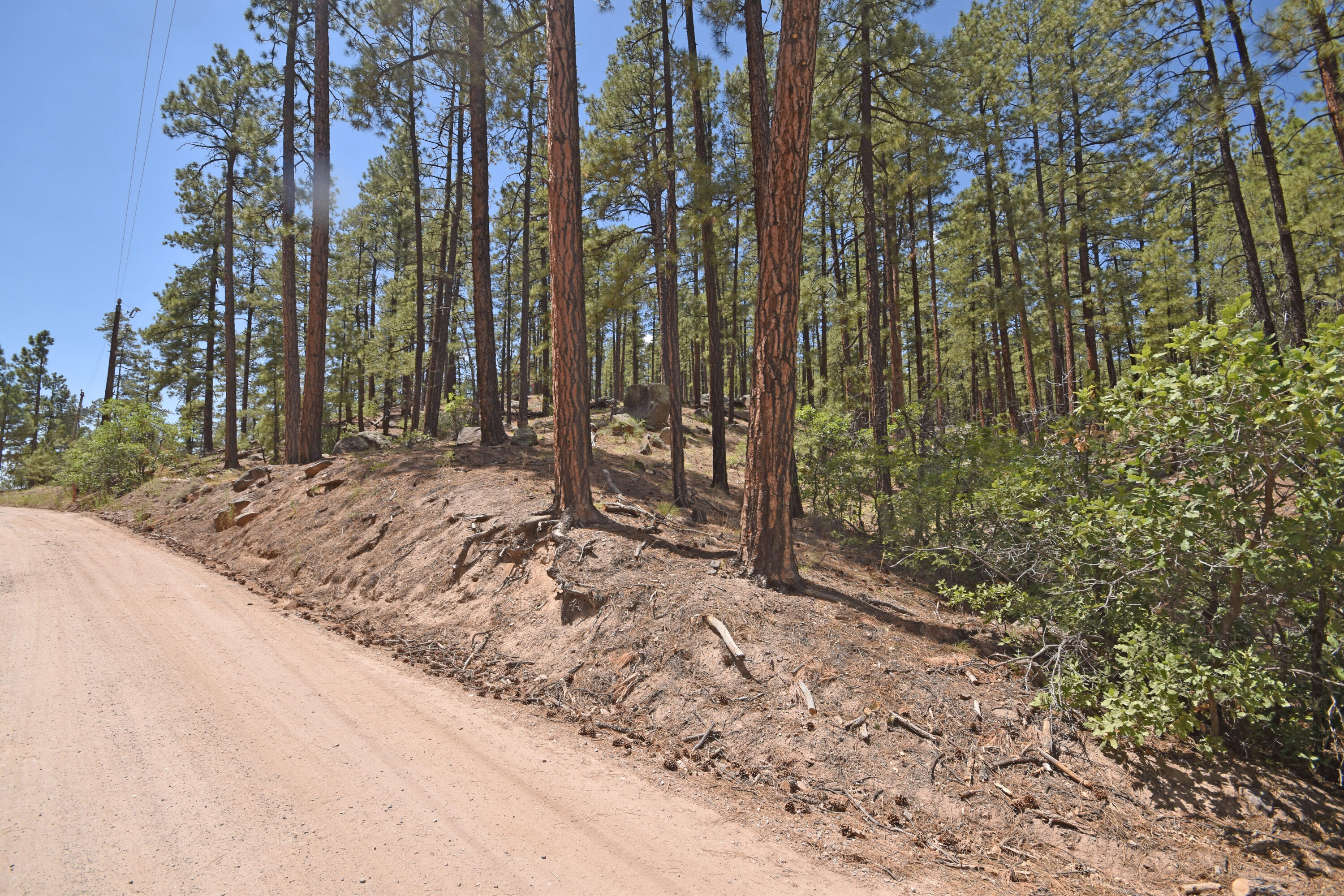 Photo 16 — Lot 6A Cool Pines