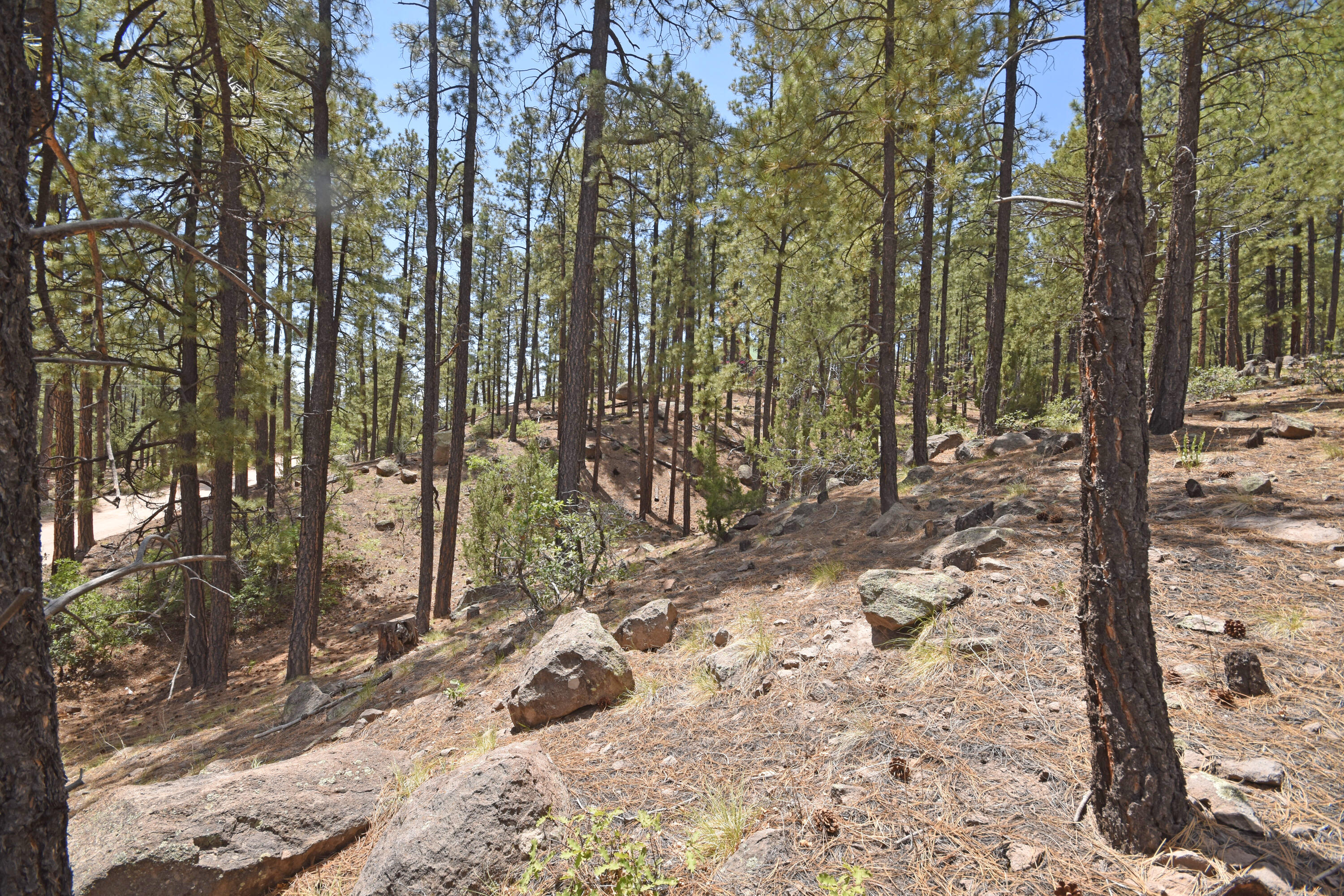 Photo 17 — Lot 6A Cool Pines