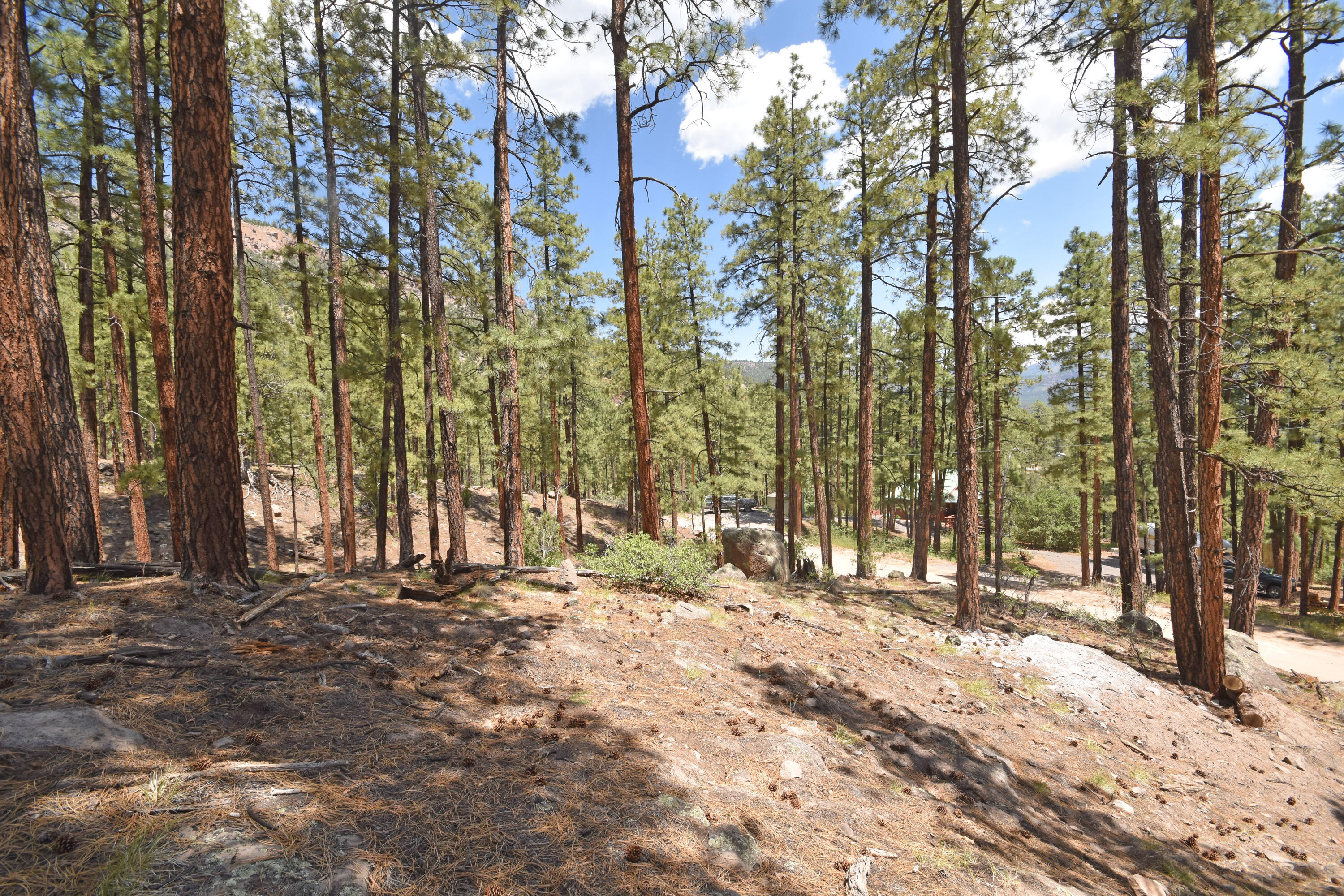 Photo 18 — Lot 6A Cool Pines