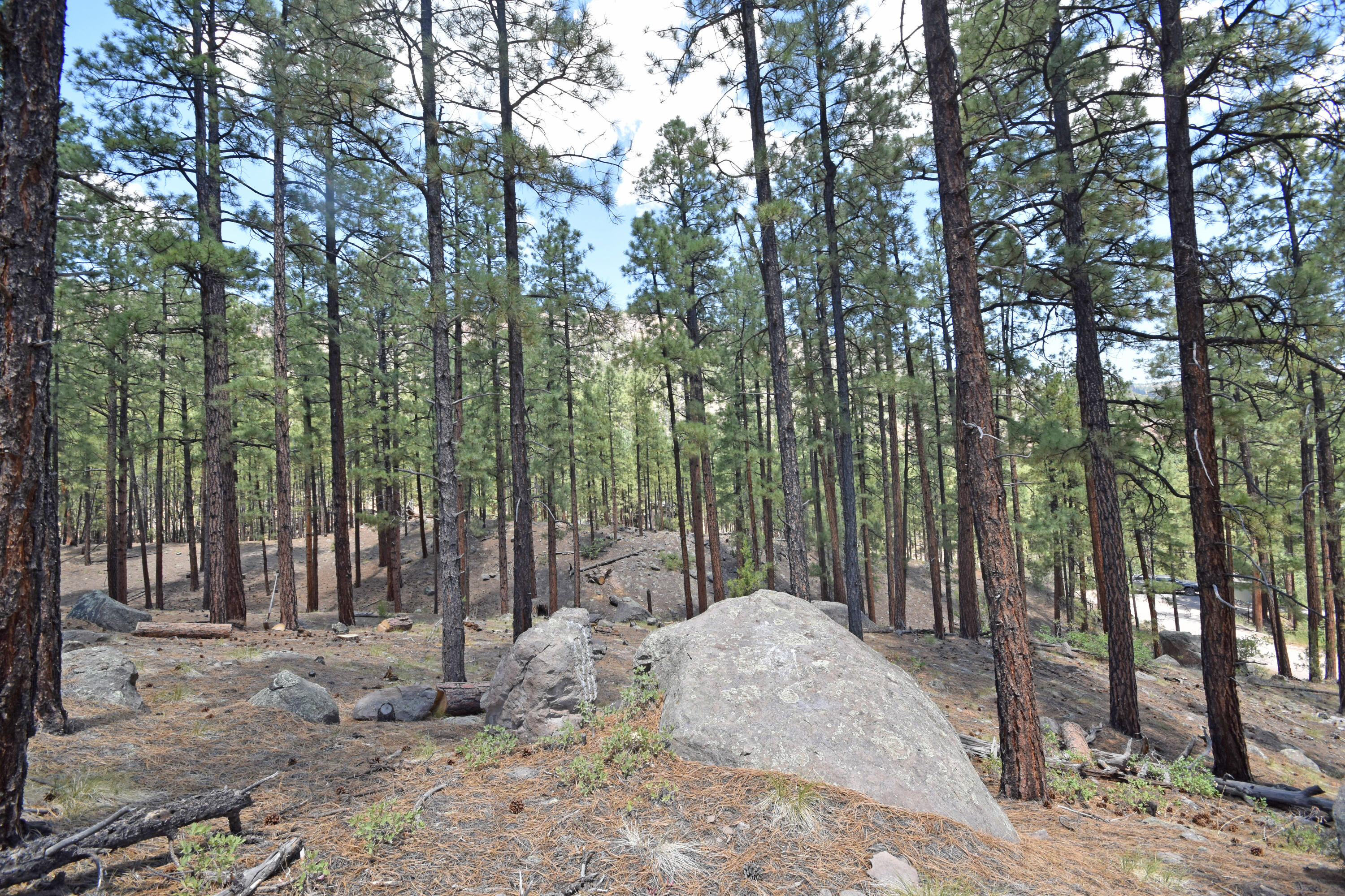 Photo 19 — Lot 6A Cool Pines