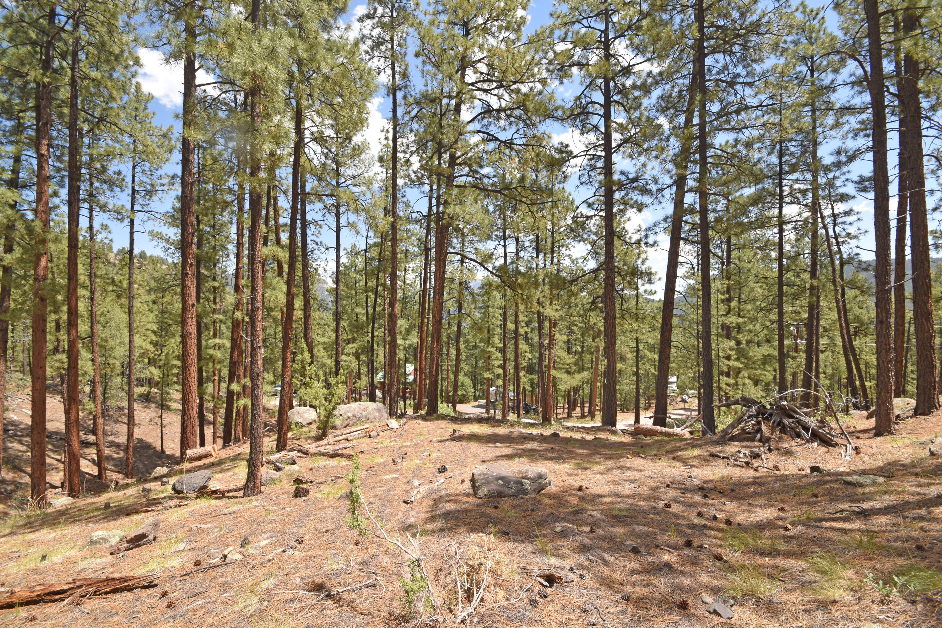 Photo 20 — Lot 6A Cool Pines