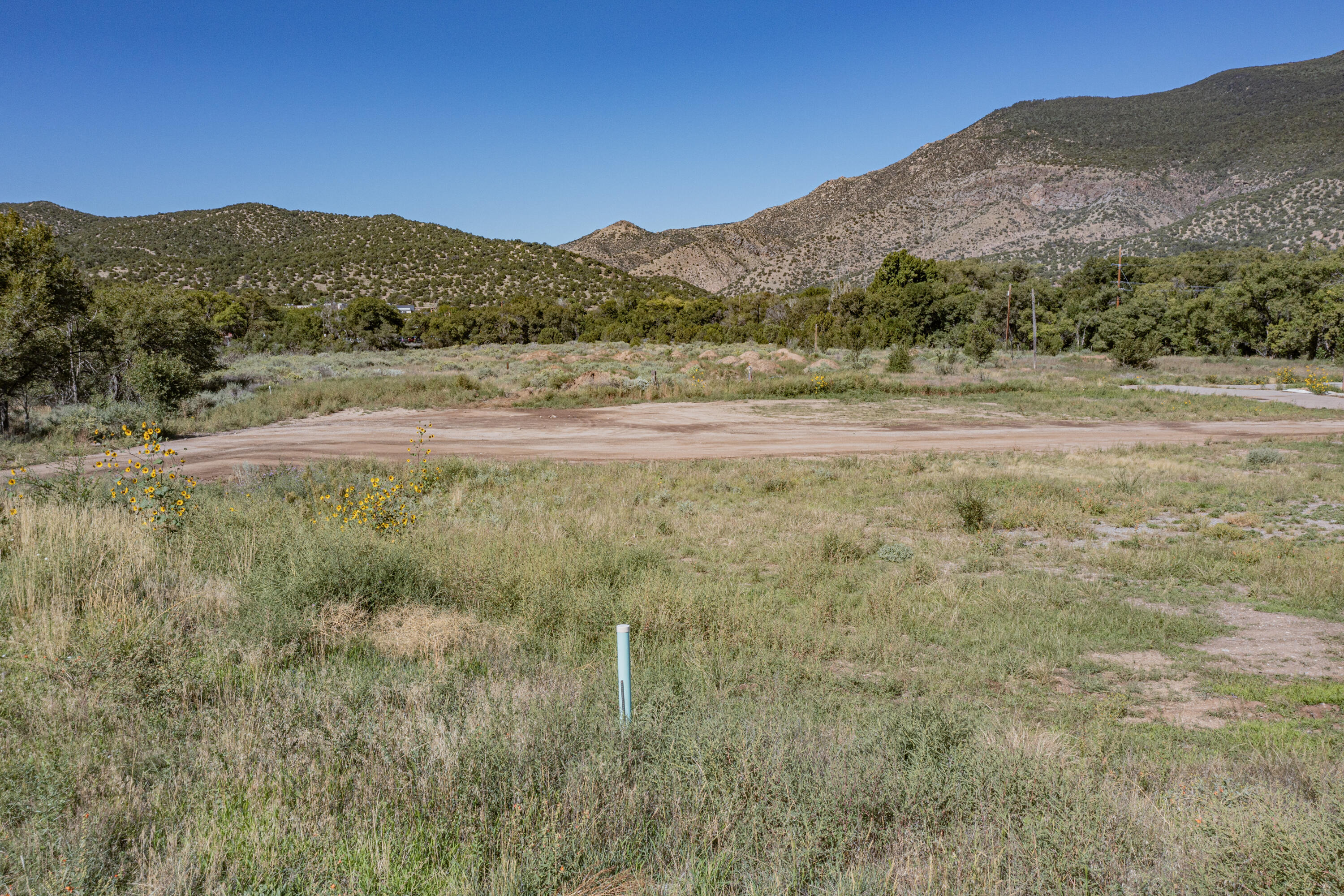 Photo 2 — 11807 NM-337