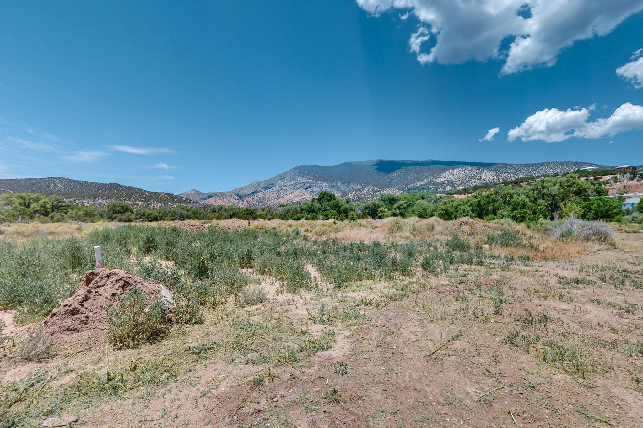 Photo 5 — 11807 NM-337