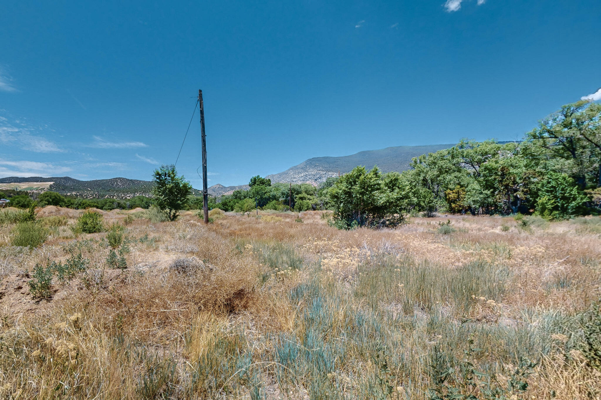 Photo 6 — 11807 NM-337