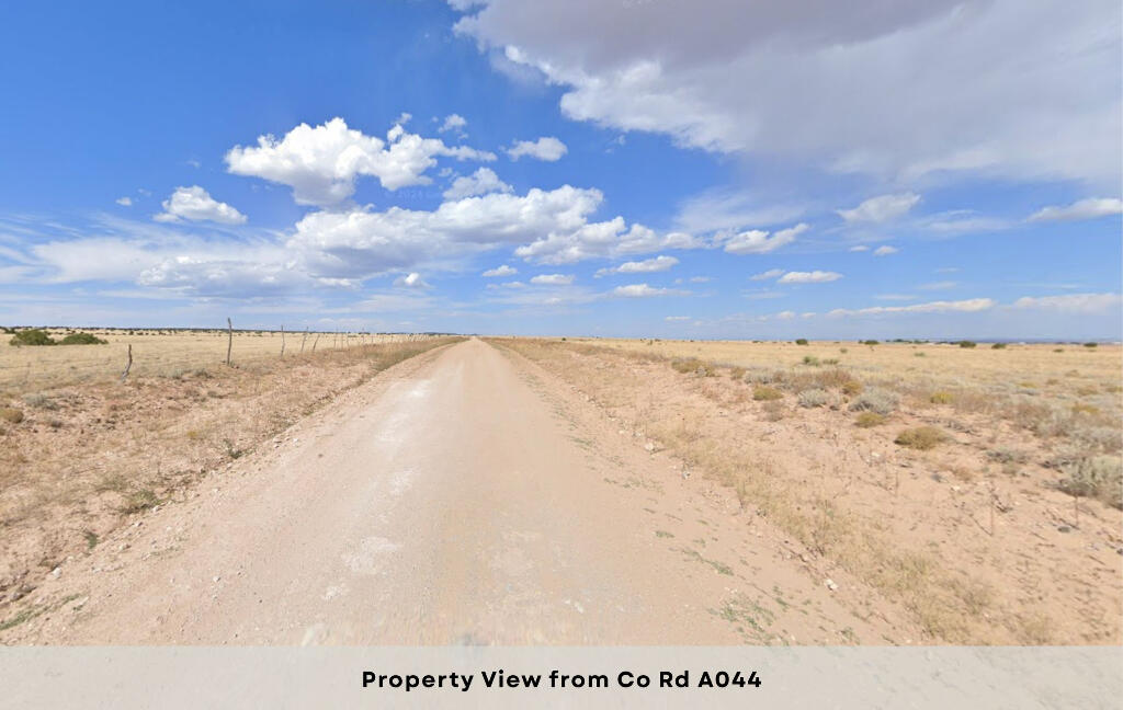 Photo 7 —  CR Rd A044
