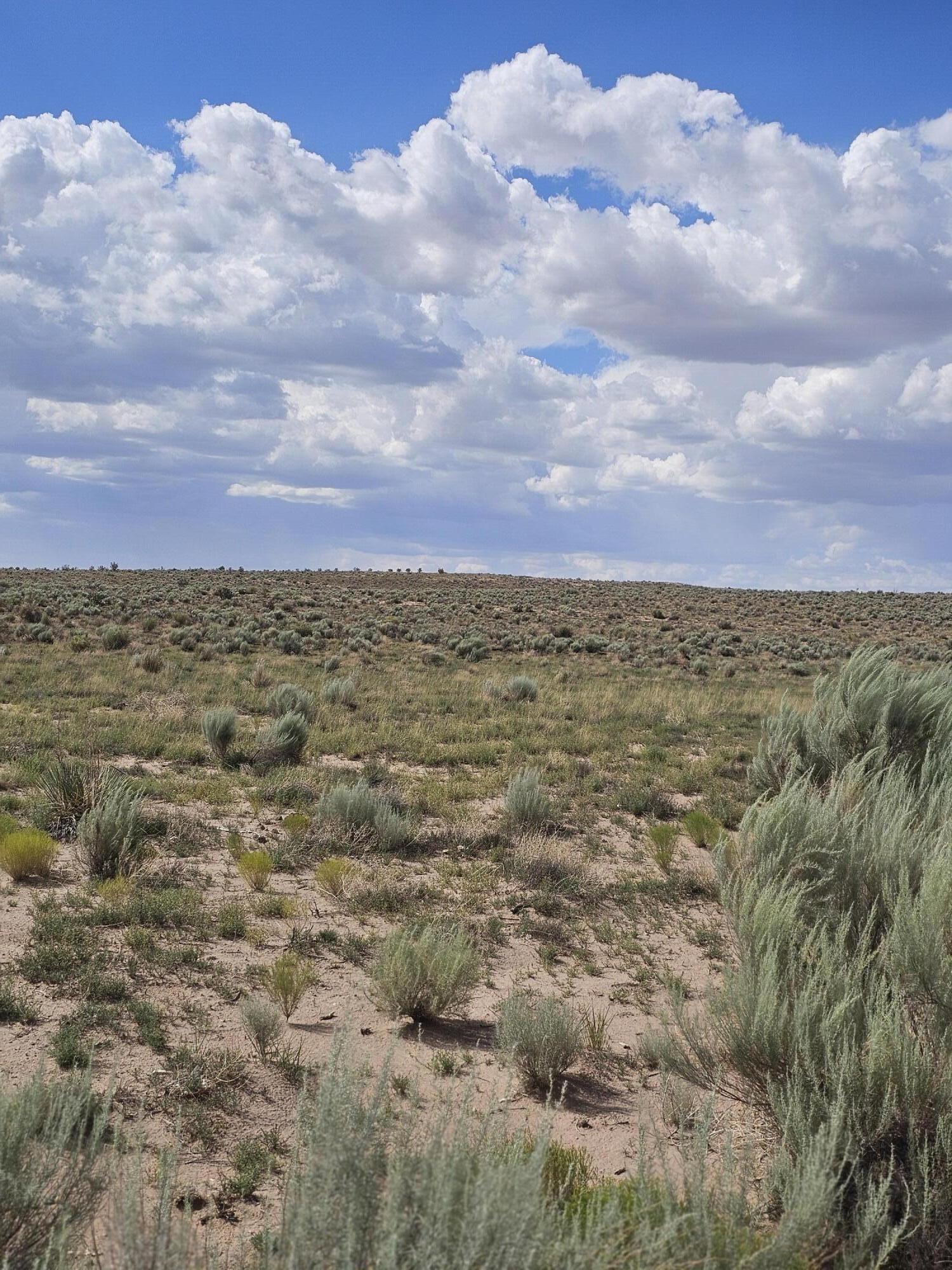 2015 Pennard NE, Rio Rancho, NM 87144