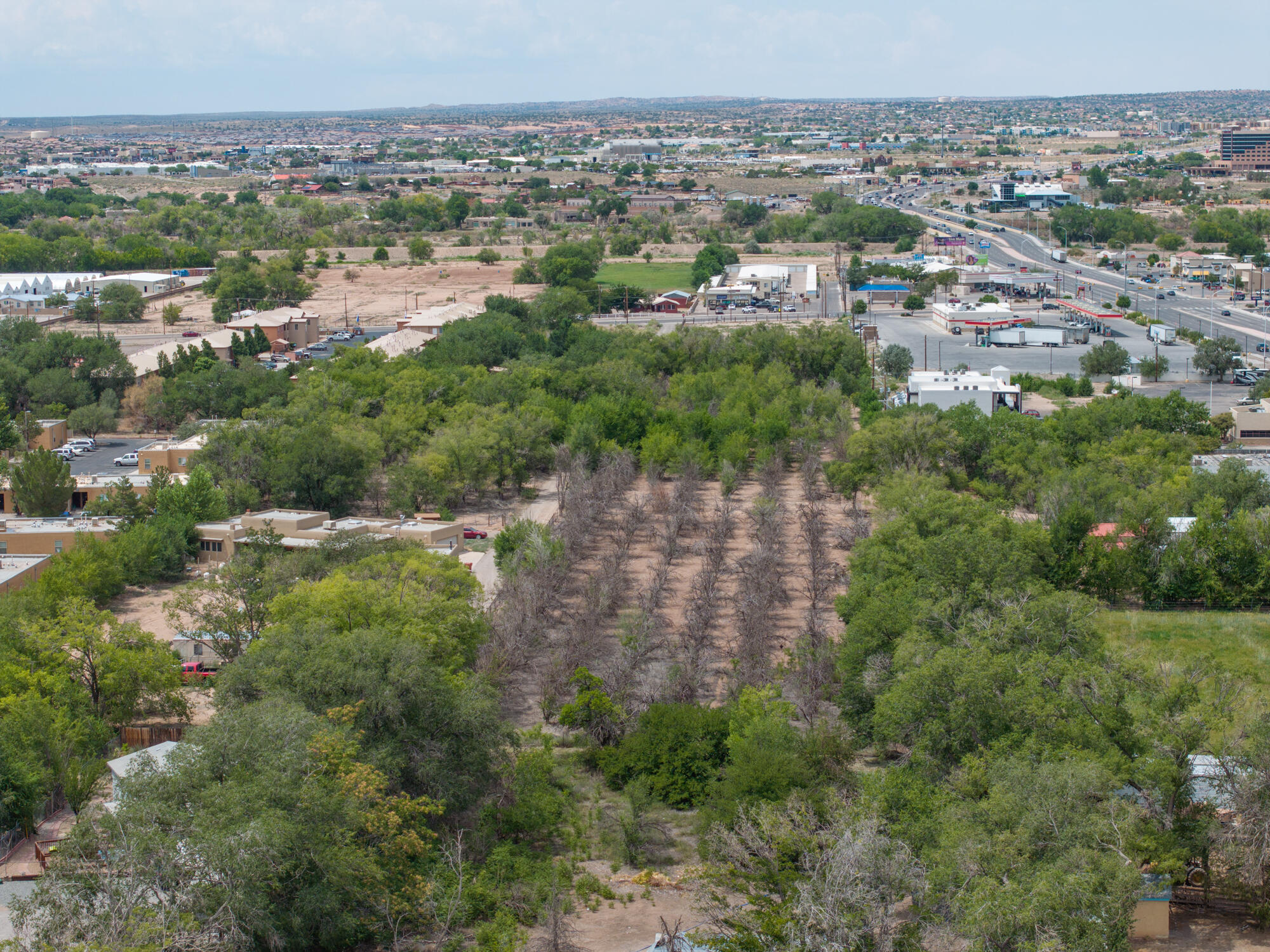 Photo 10 — 127 S CAMINO DEL PUEBLO
