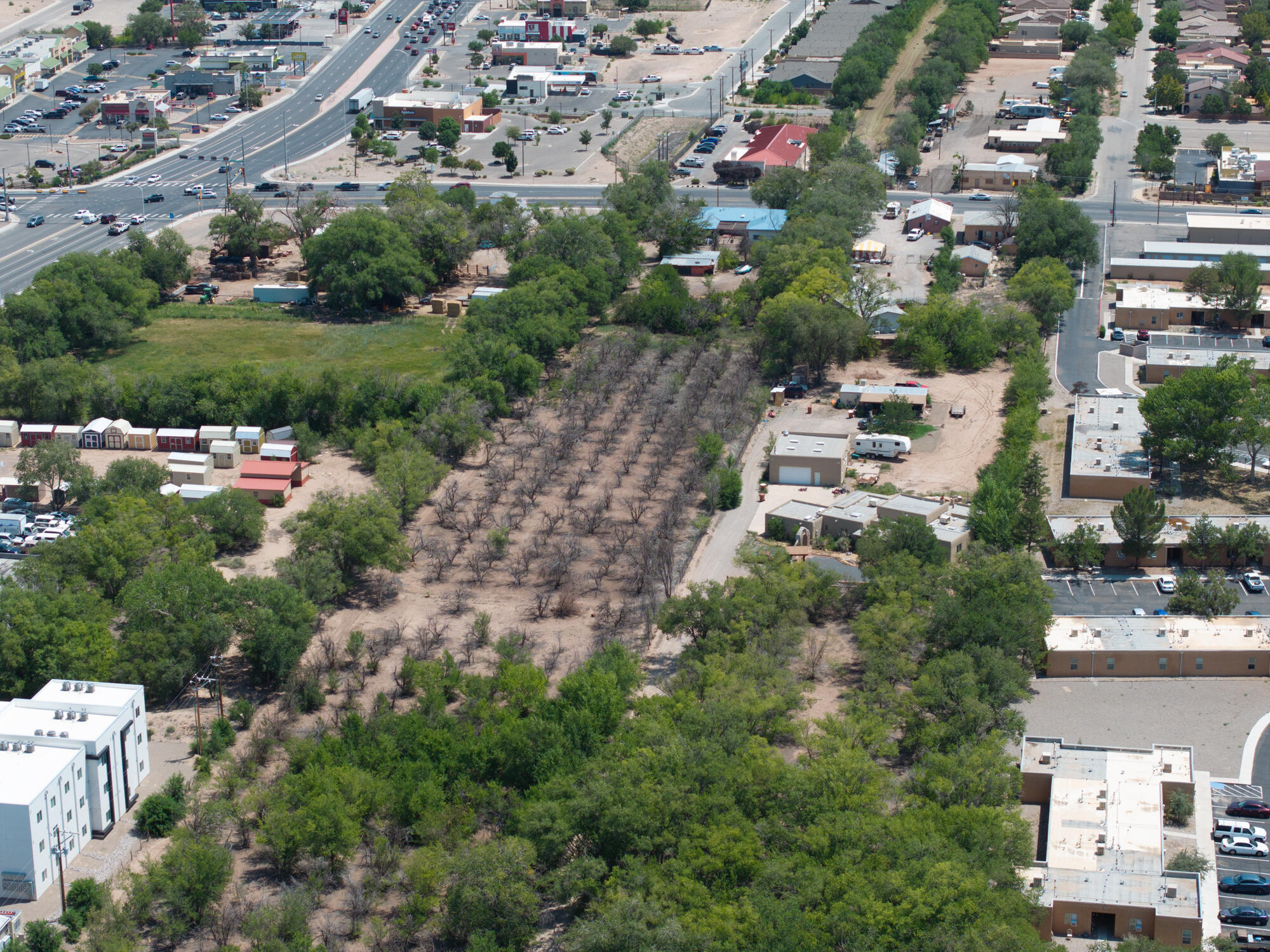Photo 8 — 127 S CAMINO DEL PUEBLO
