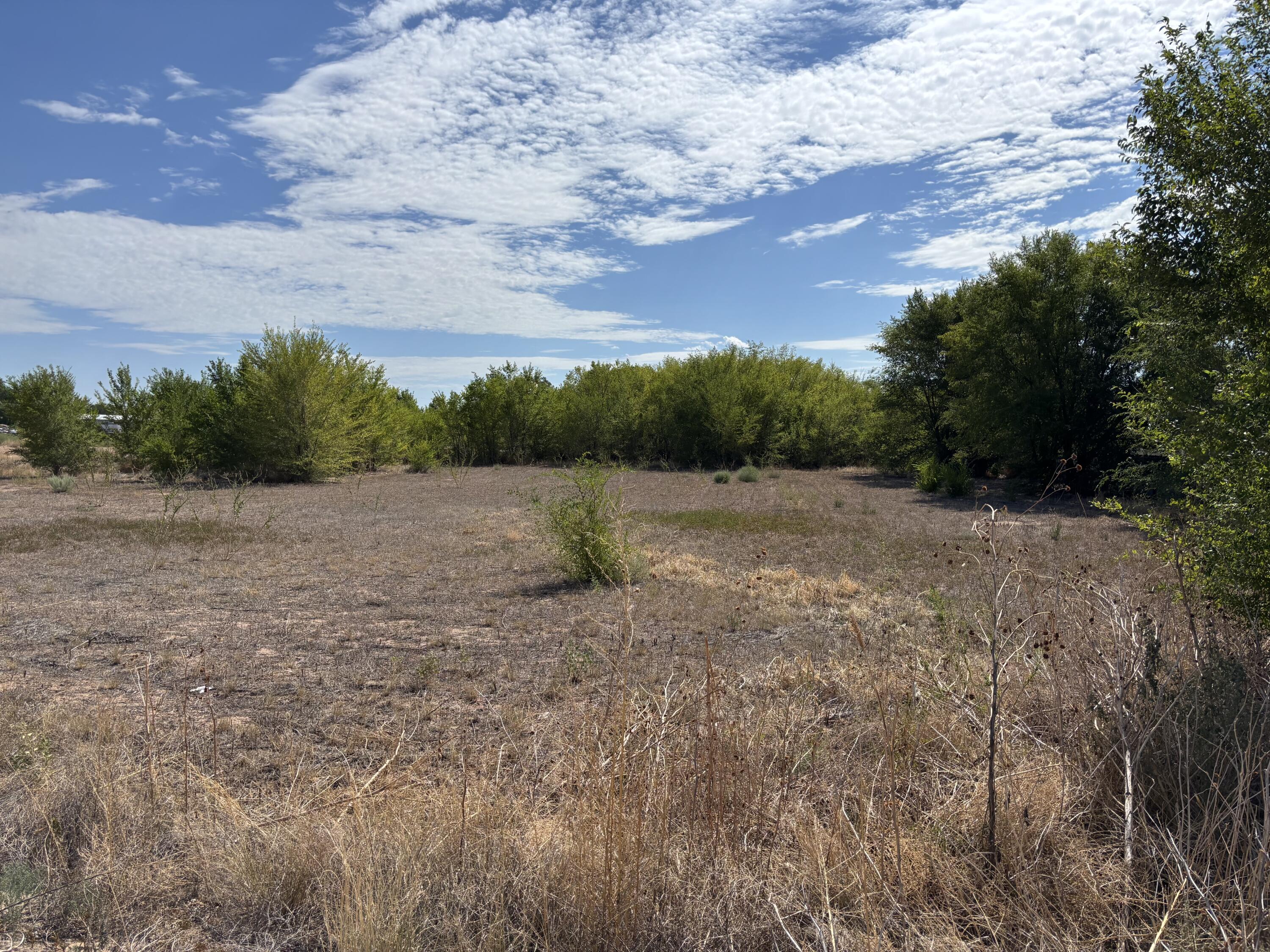 Photo 4 —  DARLA Drive