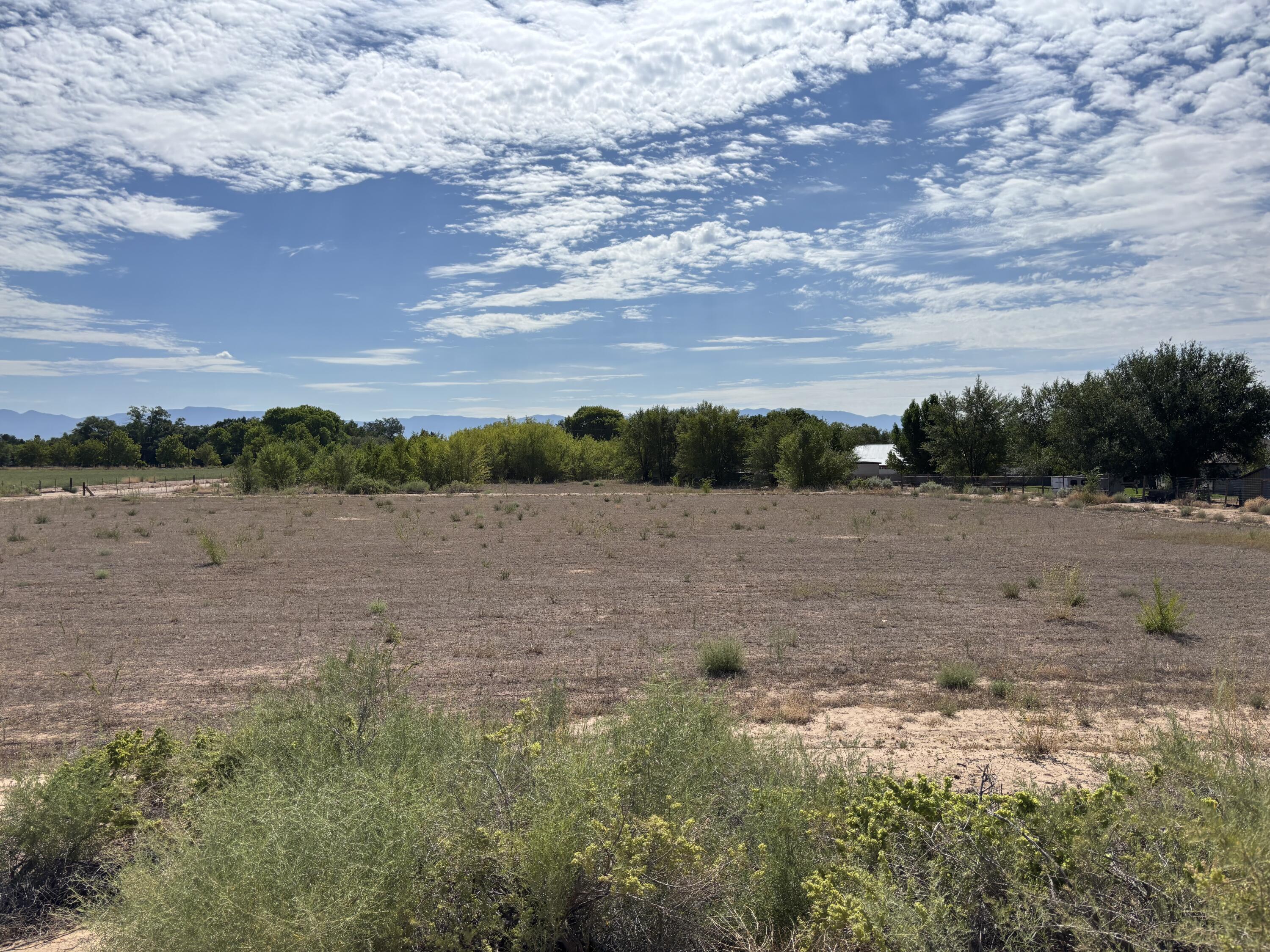 Photo 7 —  DARLA Drive