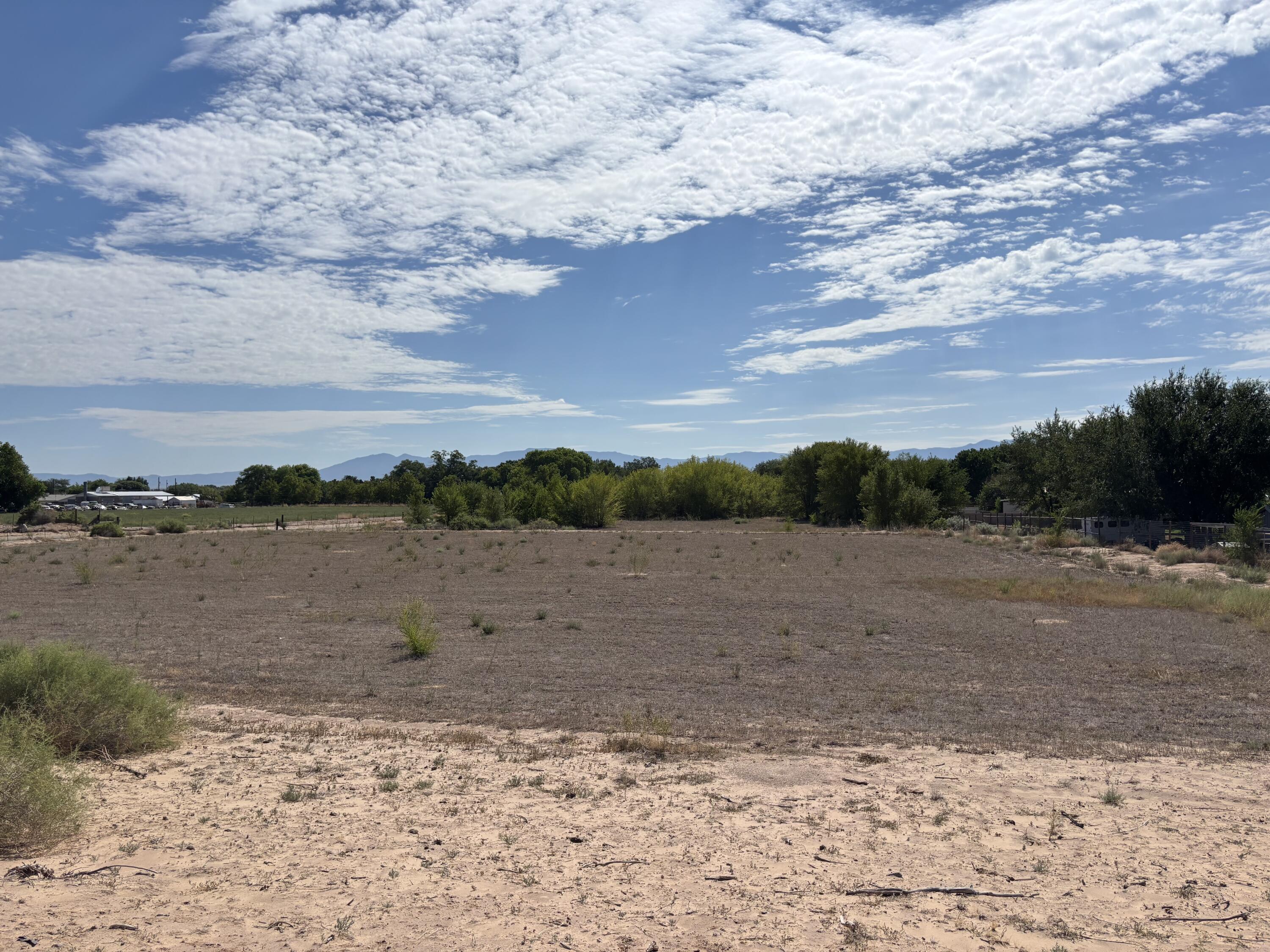 Photo 8 —  DARLA Drive