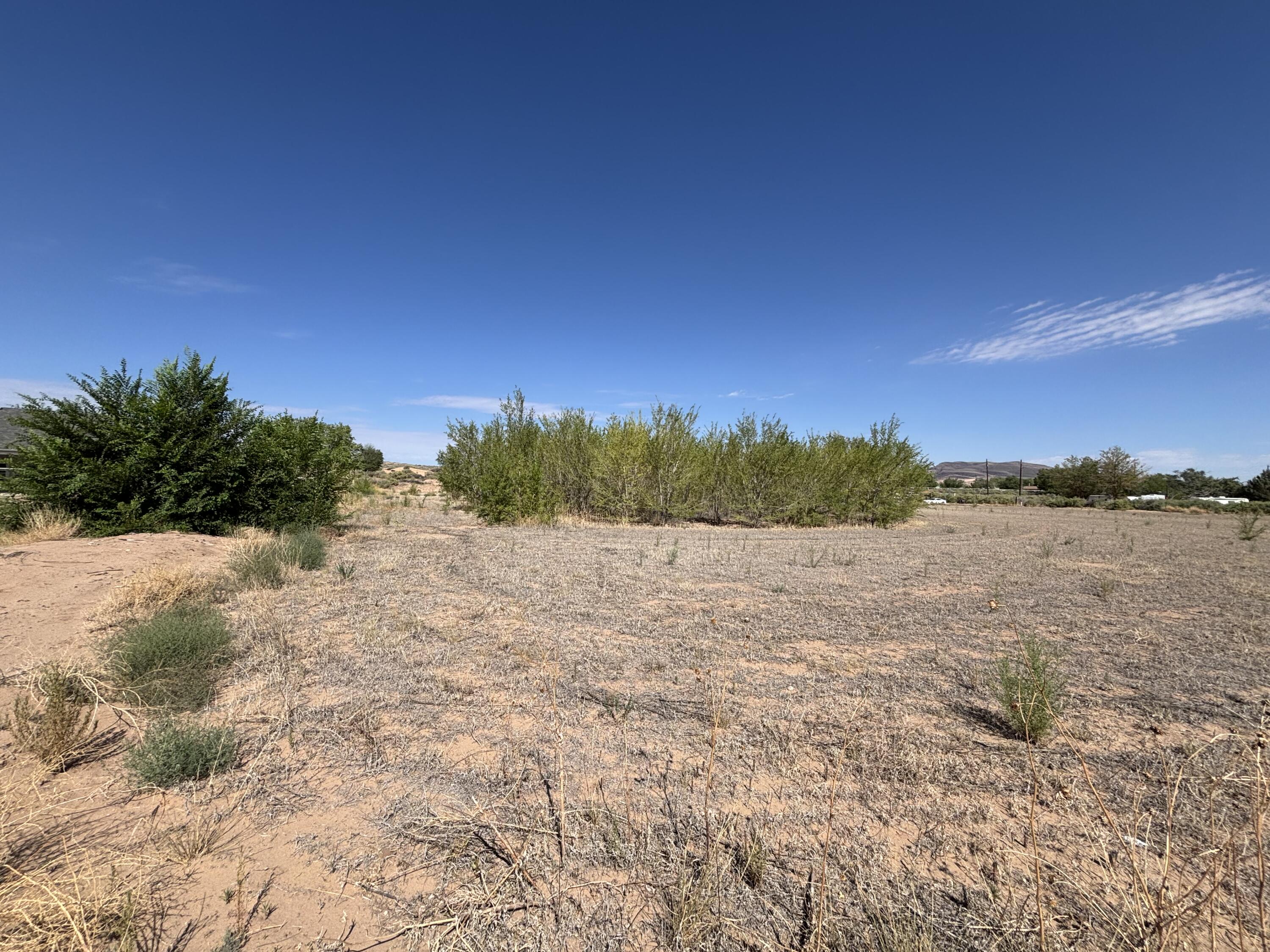 Photo 9 —  DARLA Drive