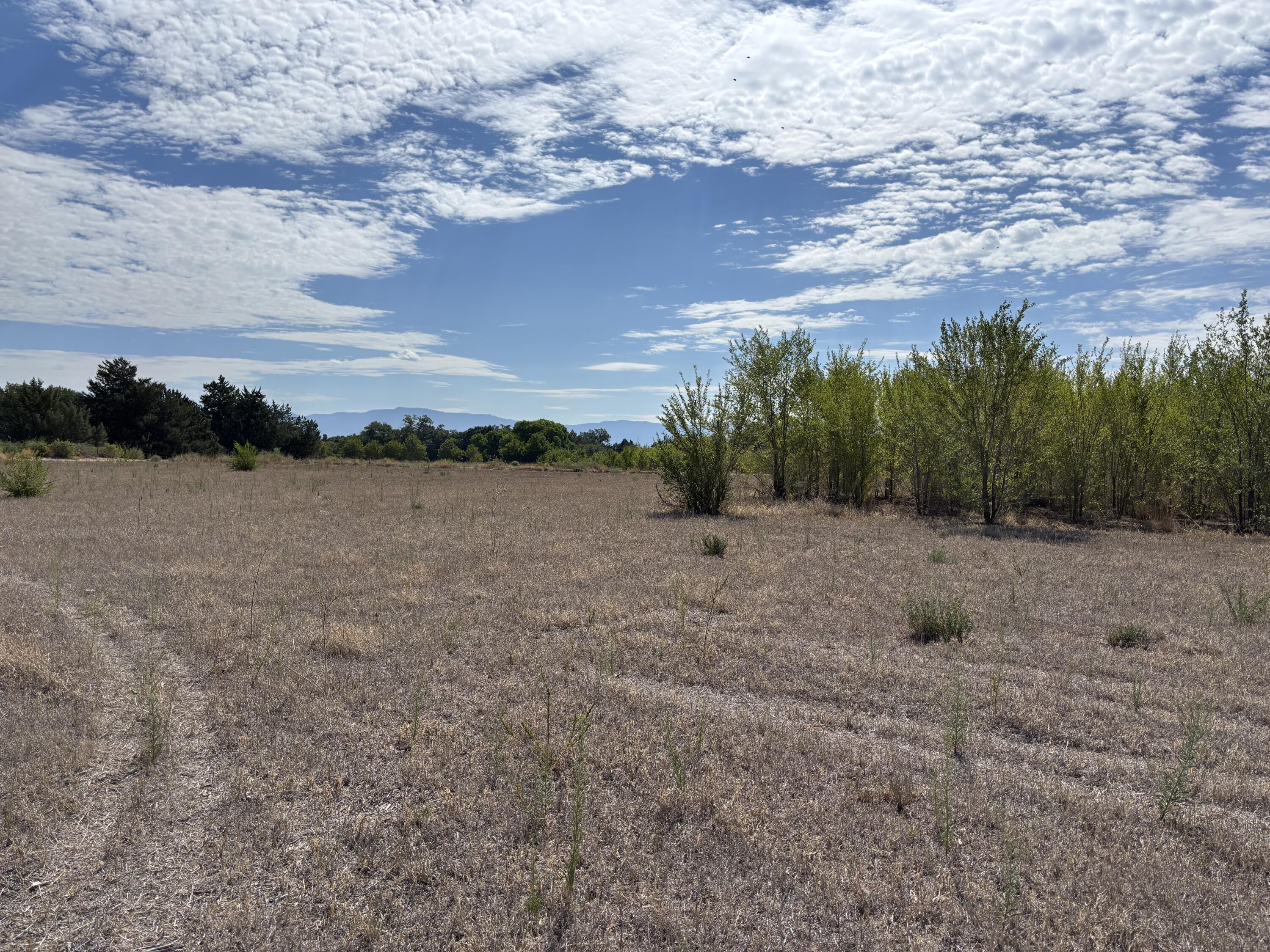 Photo 16 —  DARLA Drive