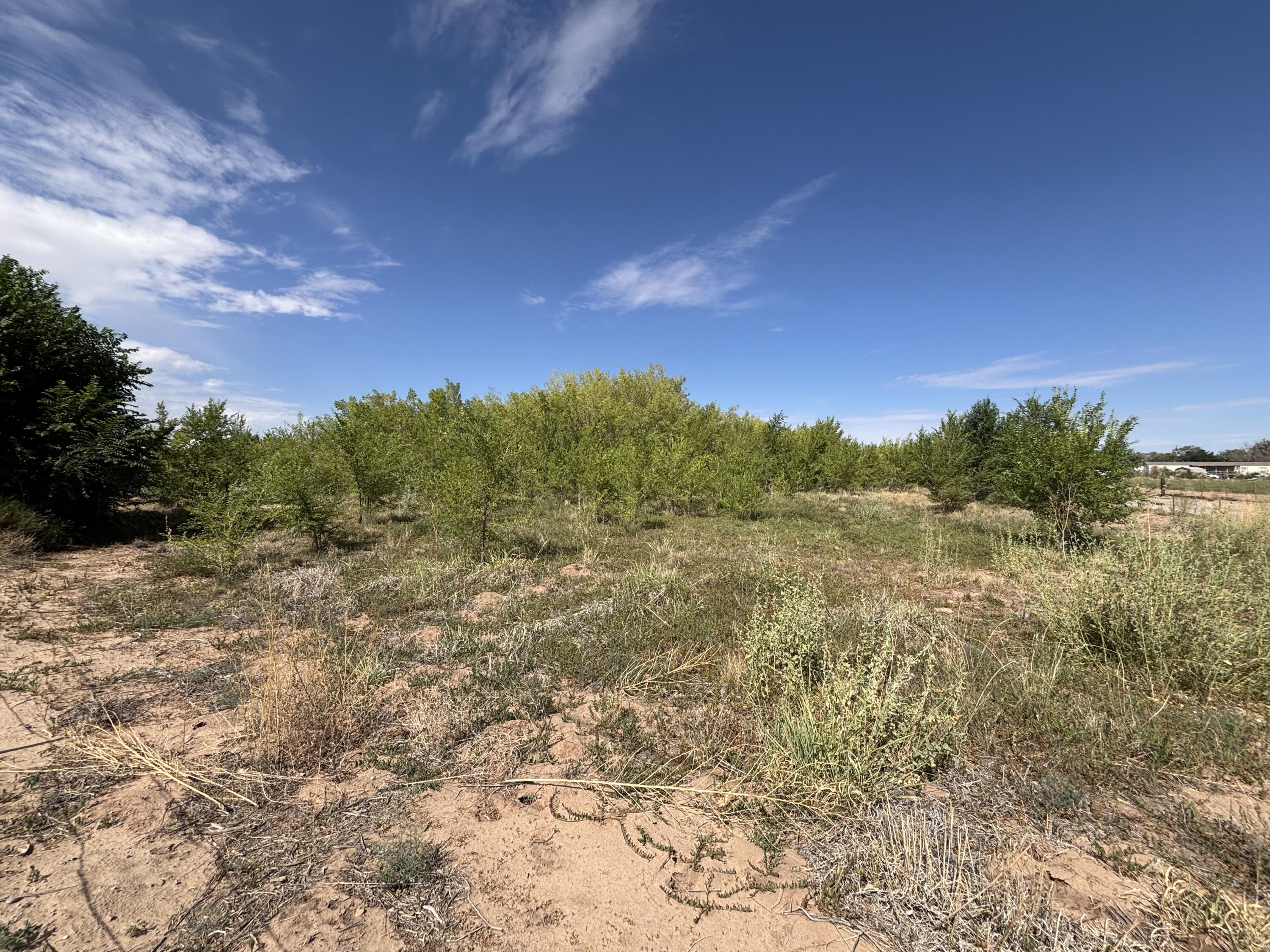 Photo 20 —  DARLA Drive
