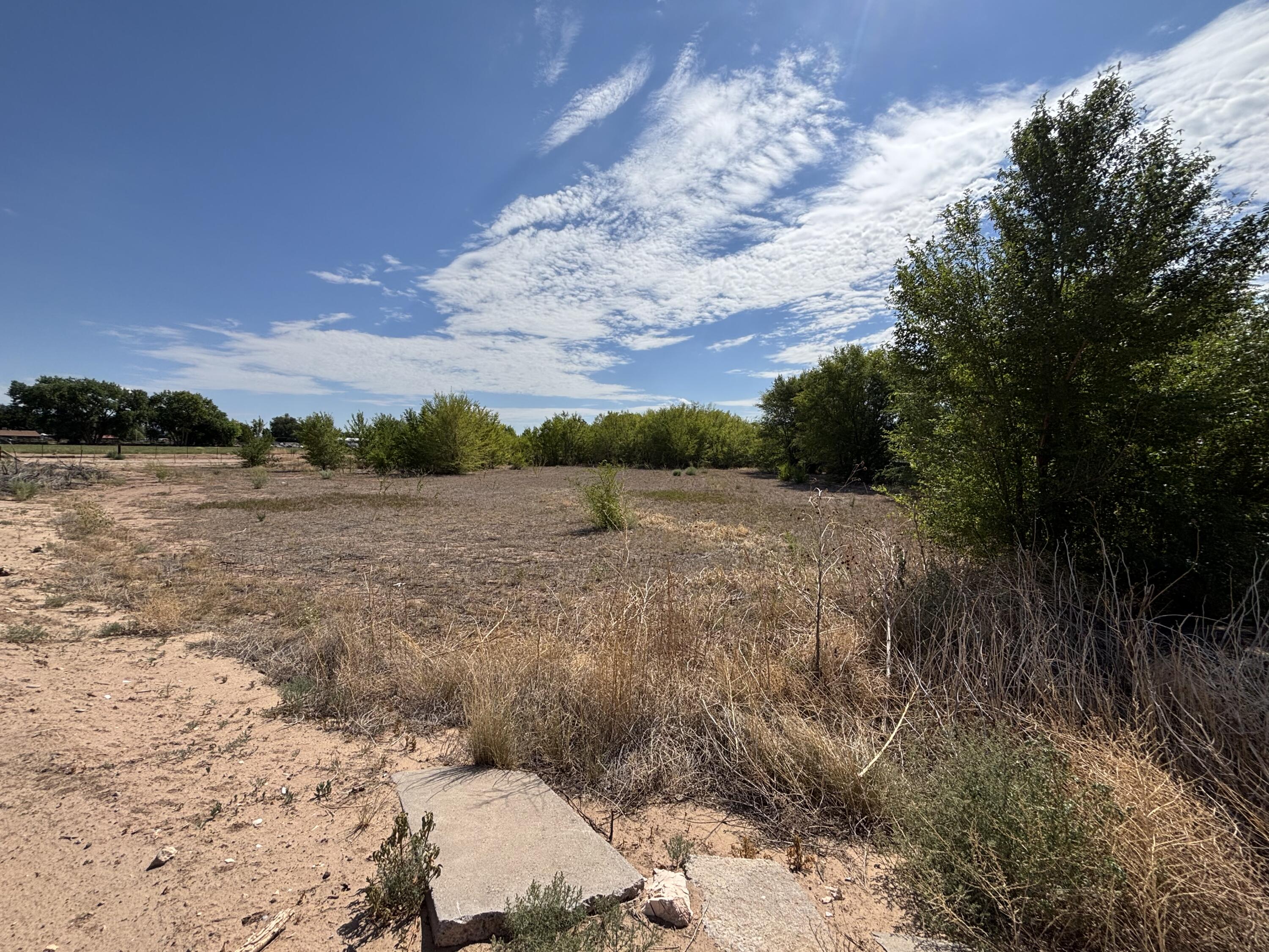Photo 3 —  DARLA Drive