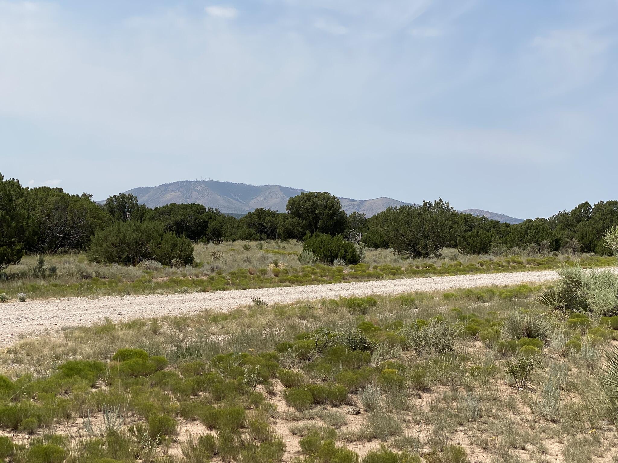 Photo 8 —  Elk Rd Tract 7 Road