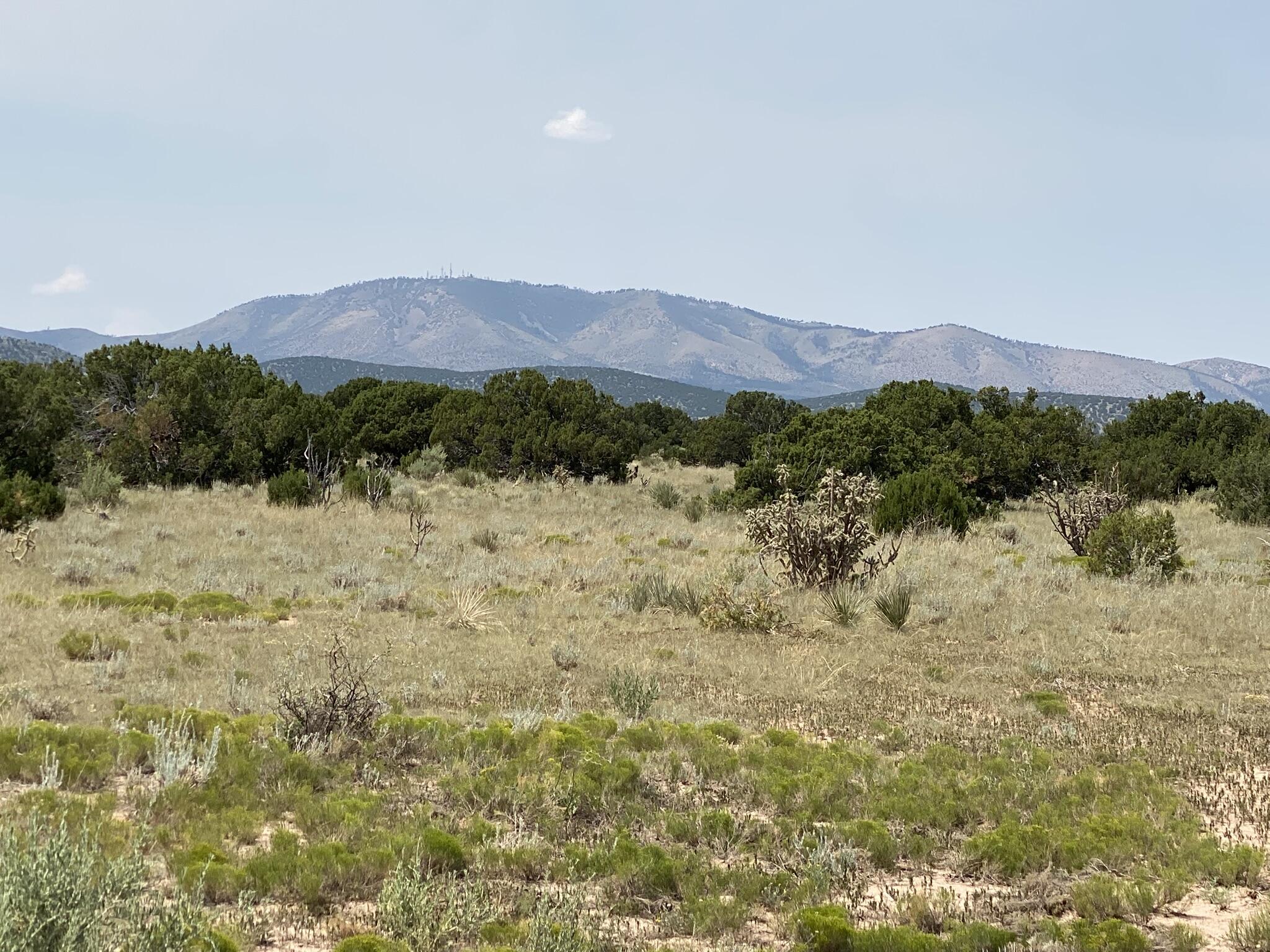 Photo 9 —  Elk Rd Tract 7 Road