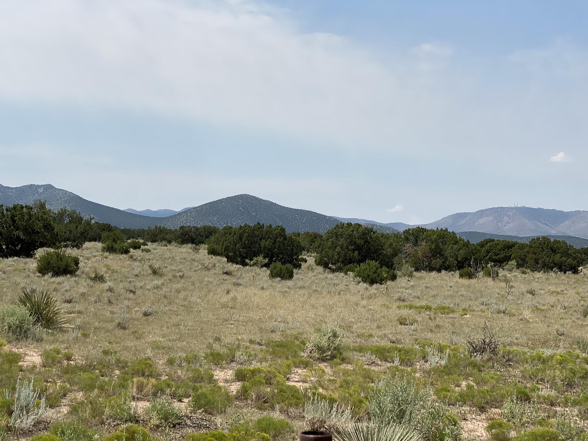 Photo 10 —  Elk Rd Tract 7 Road