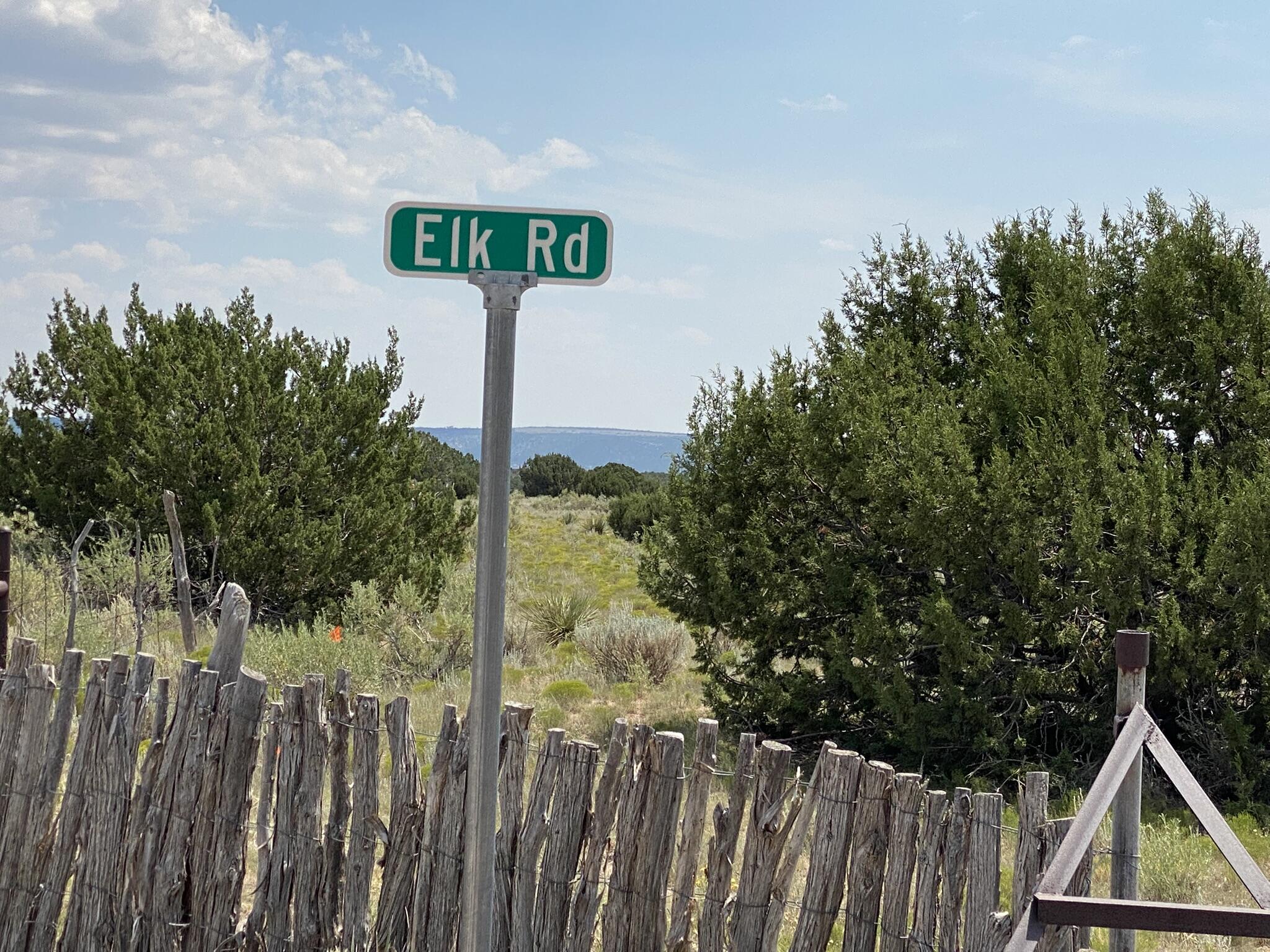 Photo 11 —  Elk Rd Tract 7 Road