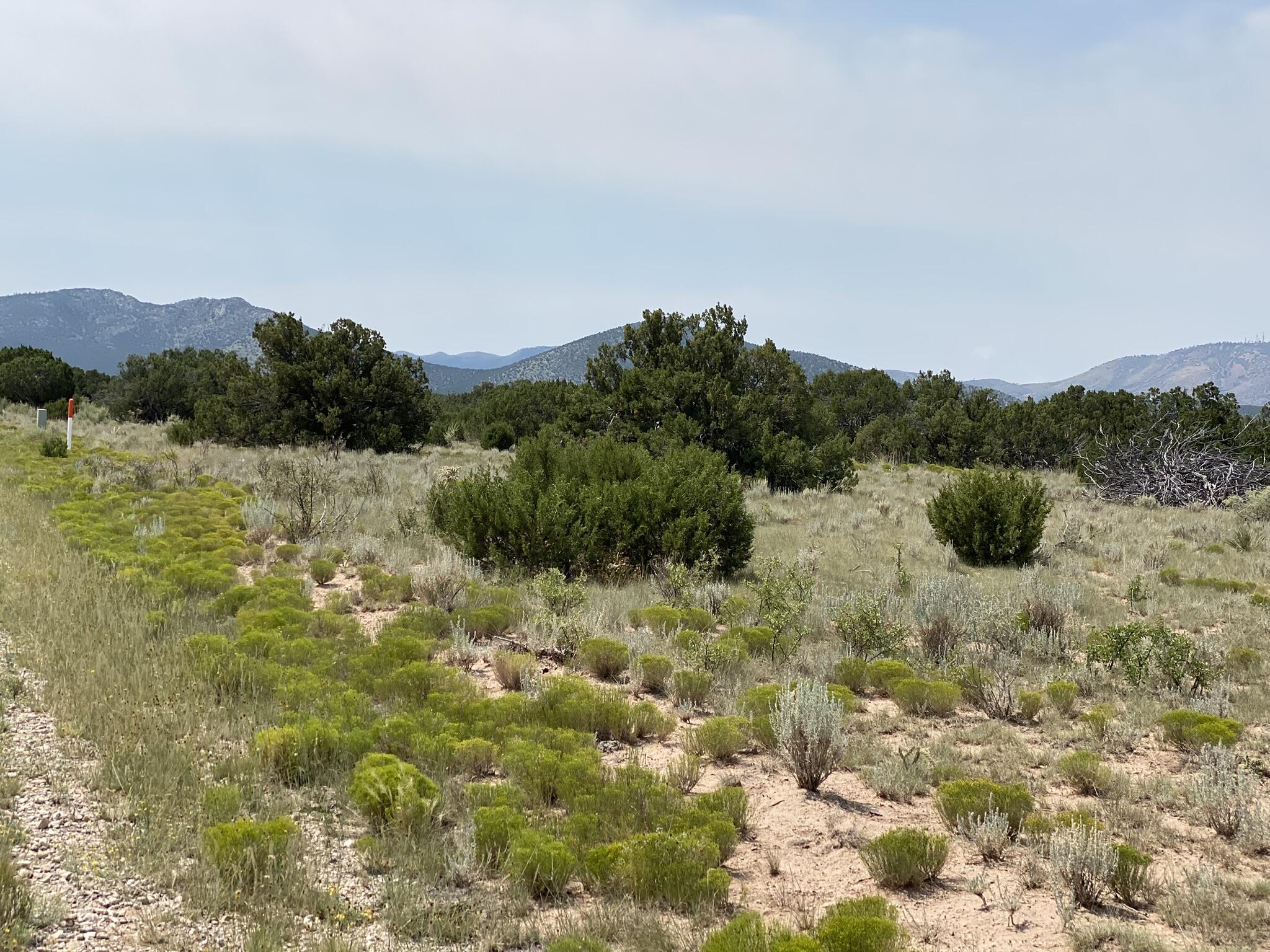 Photo 12 —  Elk Rd Tract 7 Road