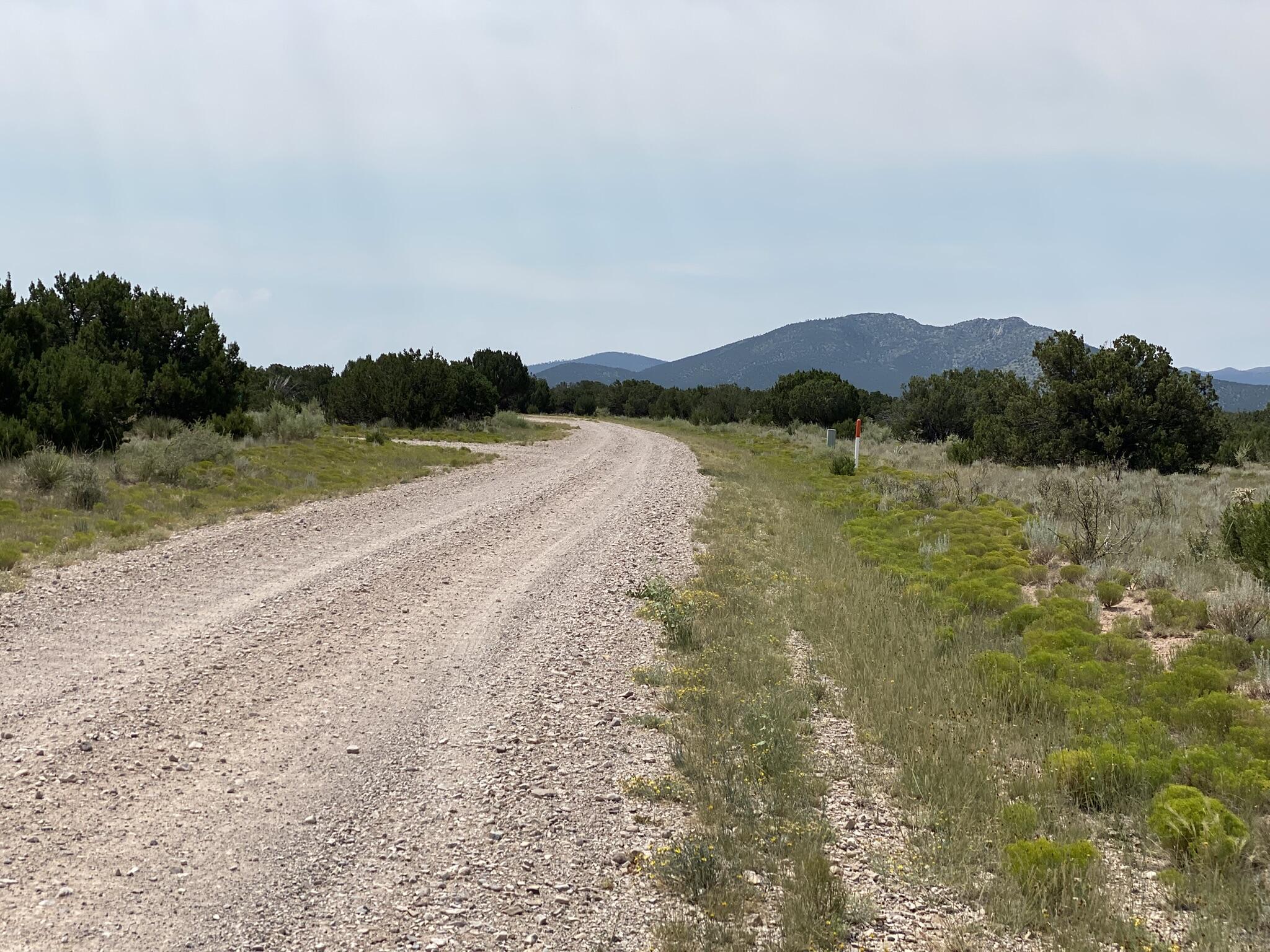 Photo 2 —  Elk Rd Tract 7 Road